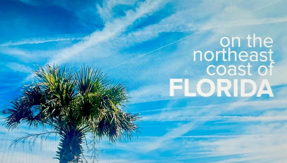 A palm tree under a blue sky with wispy clouds, with text that reads 'on the northeast coast of Florida'.