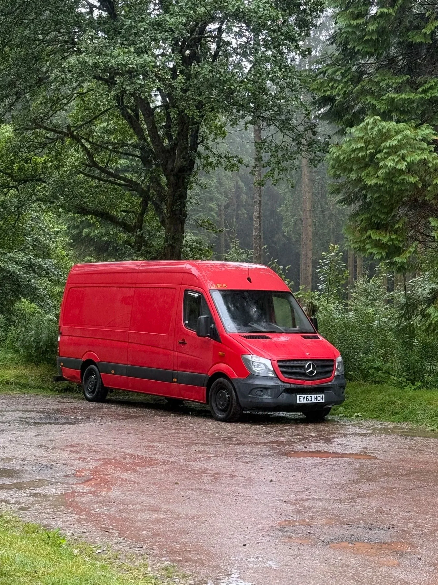 A red Mercedes-Benz van parked on a dirt area with green trees and foliage in the background during overcast weather.