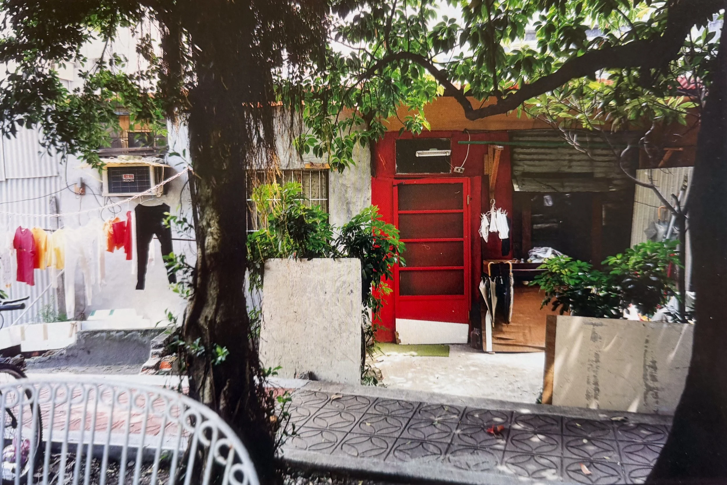A backyard scene with a large tree in the center, laundry hanging on a line to the left, red shed with a screen door and a window on the right, and various household items and plants around. The ground has patterned tiles, and there are trees and buildings in the background.
