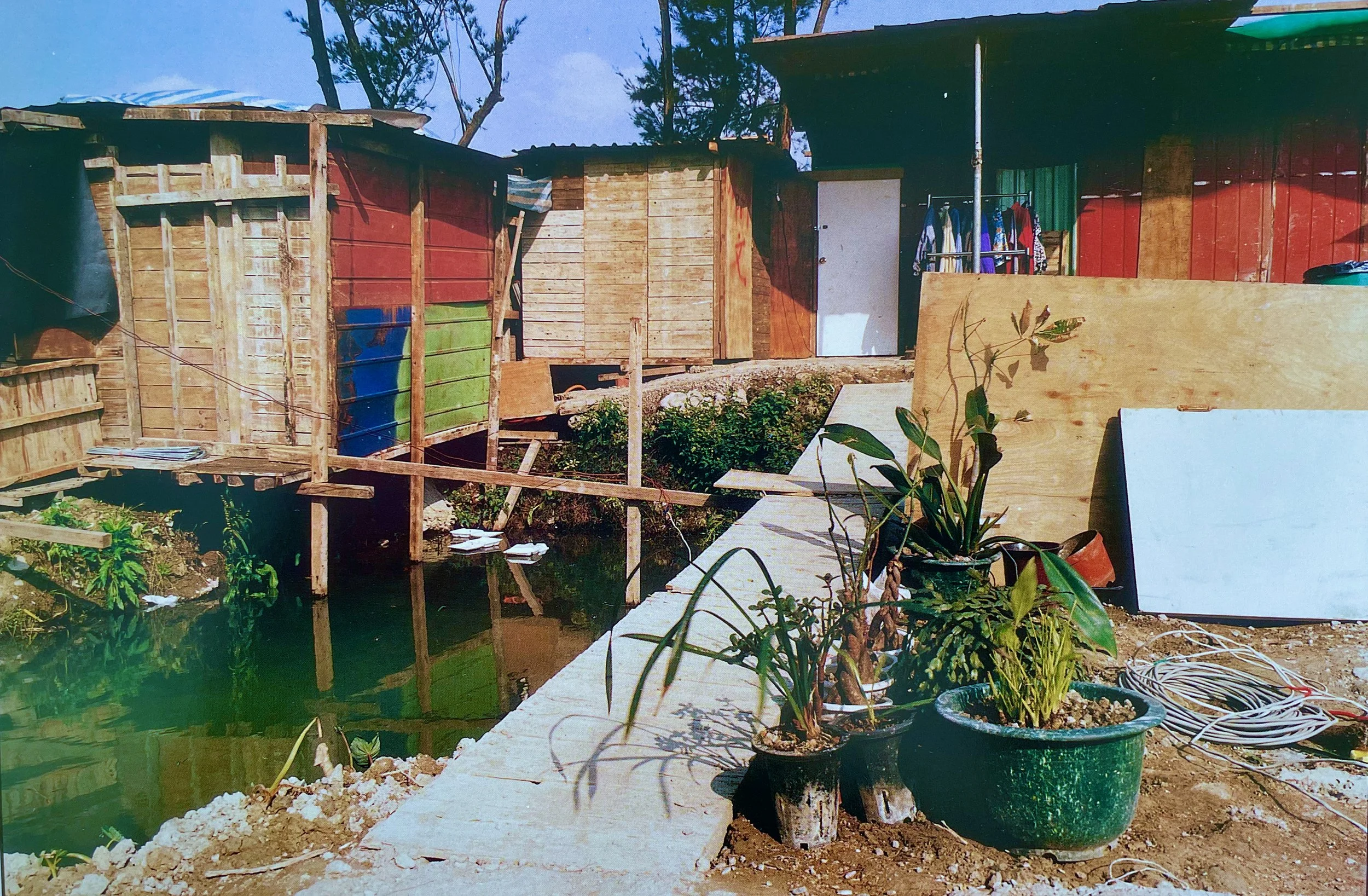 A wooden house near a body of water with potted plants and a concrete pathway, surrounded by trees and clear blue sky, photographed by artist, Karen Serago.