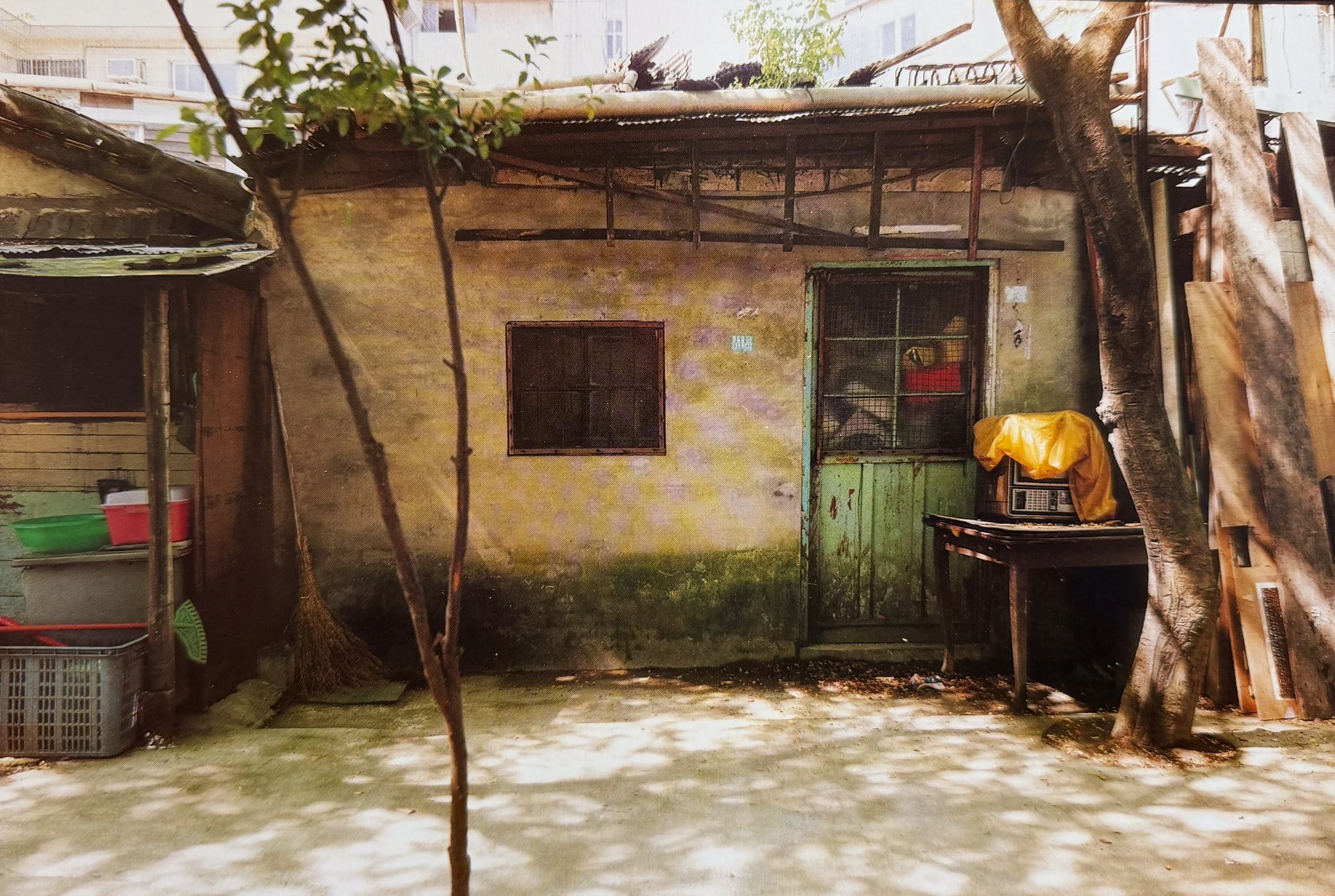 A small backyard or courtyard area with a dirt floor, a large tree, and a weathered yellow wall with two windows, one covered with a wire mesh and the other with a blind. There's a green door, a metal shelf with plastic buckets, and various wooden and metal structures. The scene appears rustic and shaded, with some sunlight filtering through the trees.