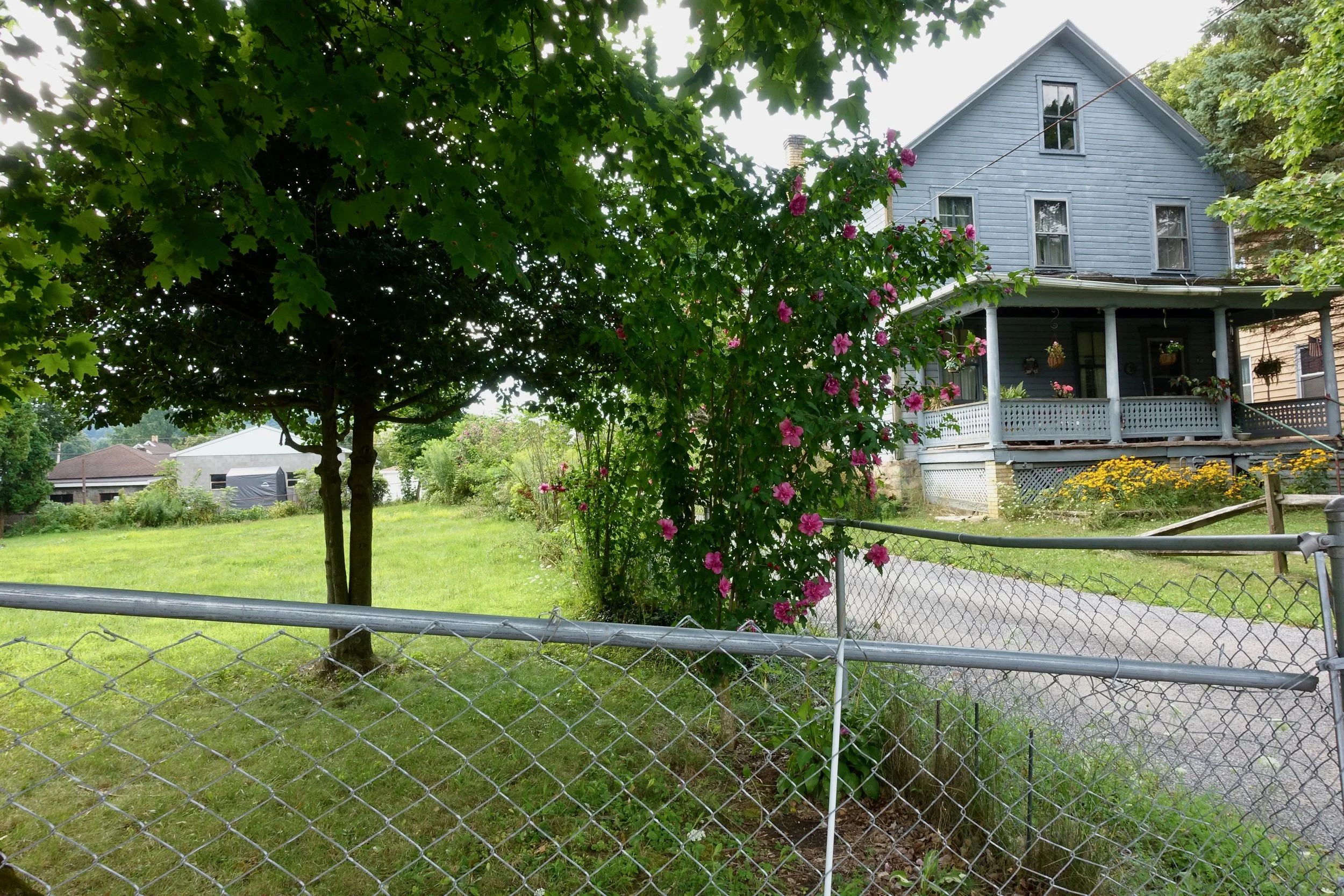 A photograph of backyard view with a green lawn, a tree in the foreground, a chain-link fence, and a blue wooden house with a covered porch decorated with hanging flower pots taken by artist, Karen Serago.