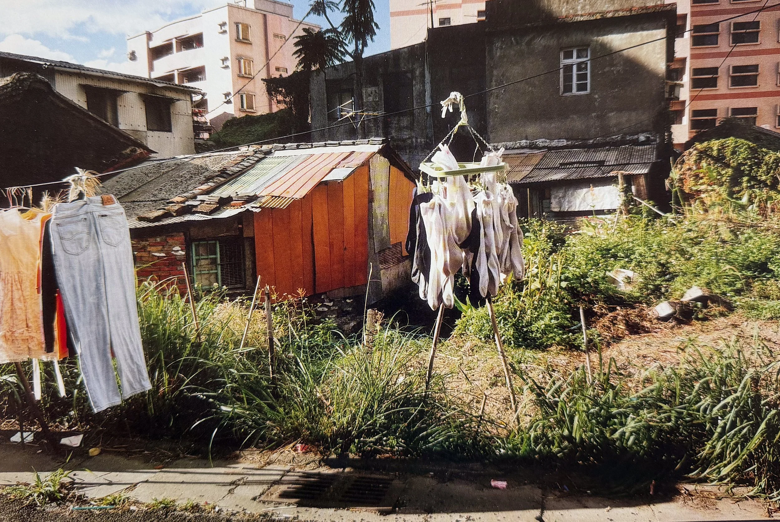 Clothes hanging on a clothesline in a backyard with tall grass, bushes, and small structures, with taller apartment buildings in the background under a partly cloudy sky. Photographed by visual artist, Karen Serago.