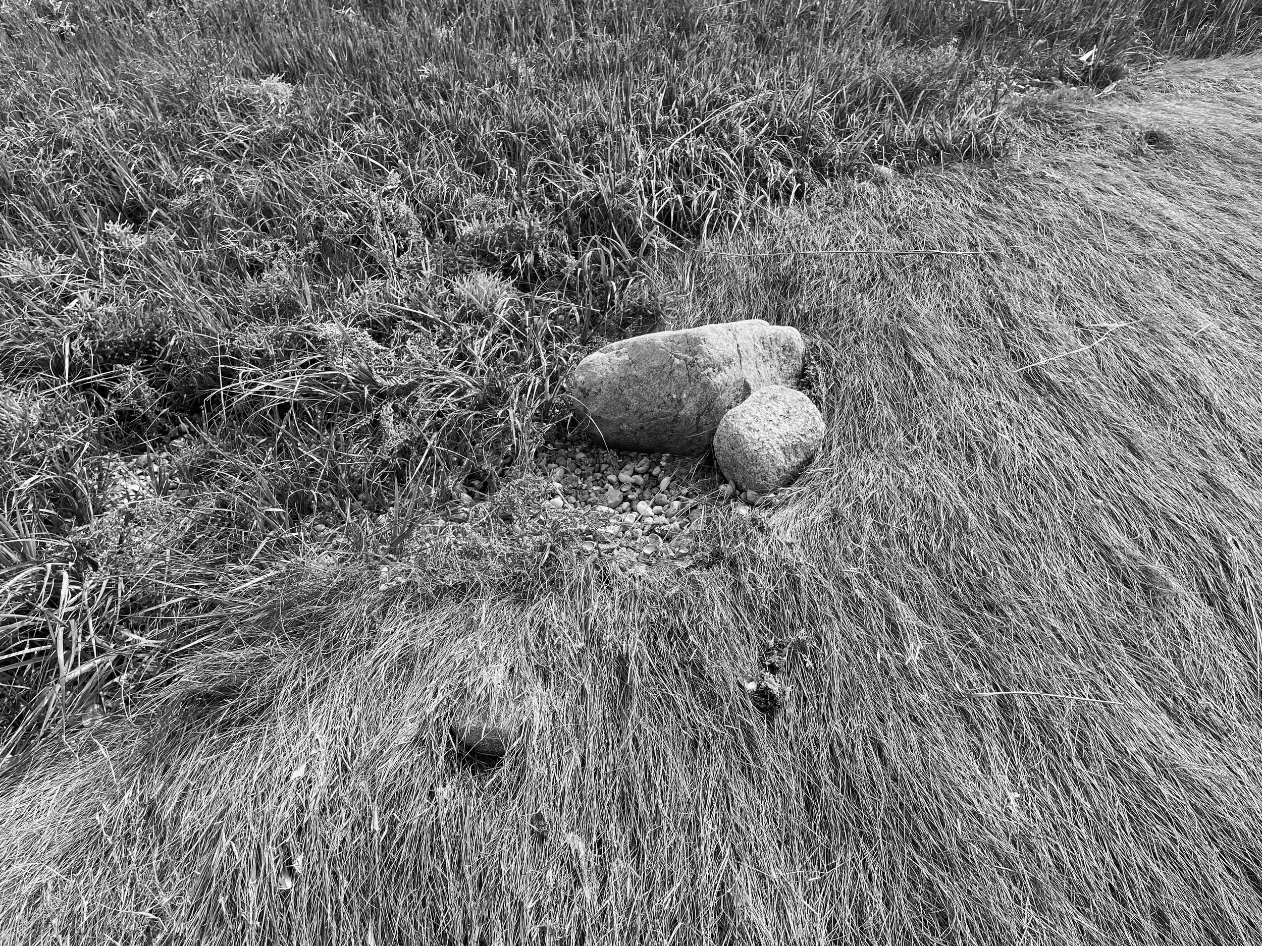 Black-and-white photo of a grassy field with two large rocks in the foreground and tall grass on the right side photographed by artist, Karen Serago.