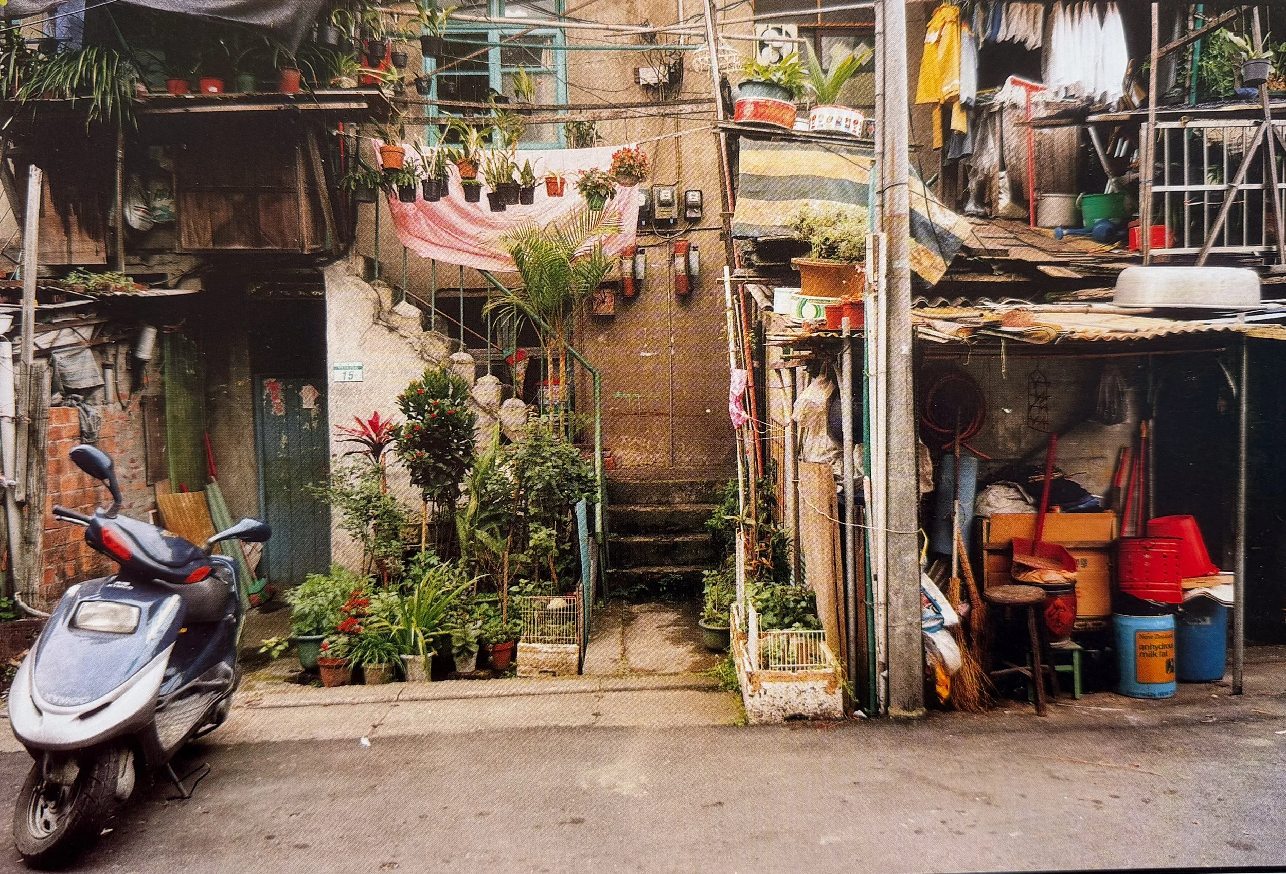 A narrow alleyway with plants, potted flowers, and various household items on shelves and walls. A motorcycle is parked in the foreground, and laundry is hanging on a line at the top, with a multi-story building in the background.
