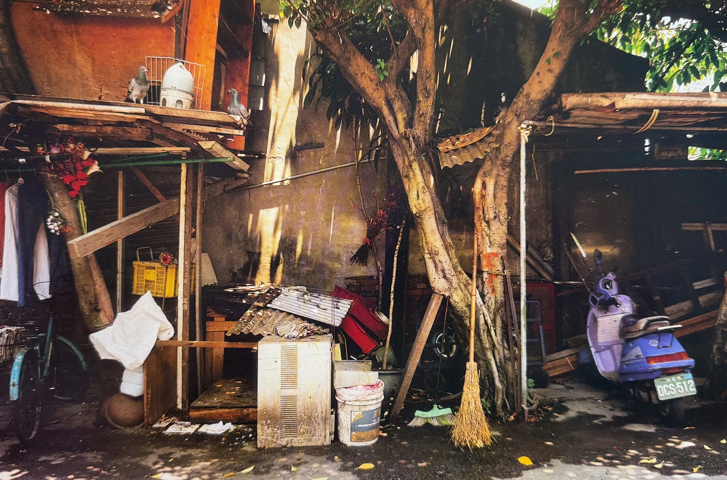 A cluttered outdoor area with a large tree in the center. Surrounding the tree are various objects including a purple scooter, a yellow basket, a white cooler, and miscellaneous construction materials. Photographed by visual artist, Karen Serago.