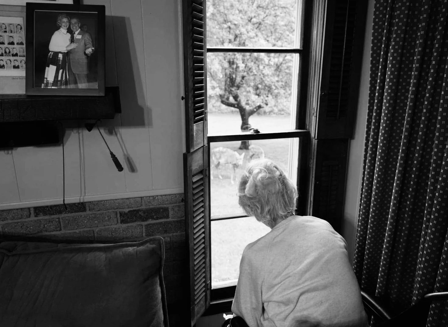 An elderly person with light-colored, curly hair is sitting in a room, looking out of an open window with shutters. Outside, a dog and some sheep are visible in a grassy area. Inside, a framed black-and-white photo of a woman and a man is hanging on the wall, and there are patterned curtains on the window.