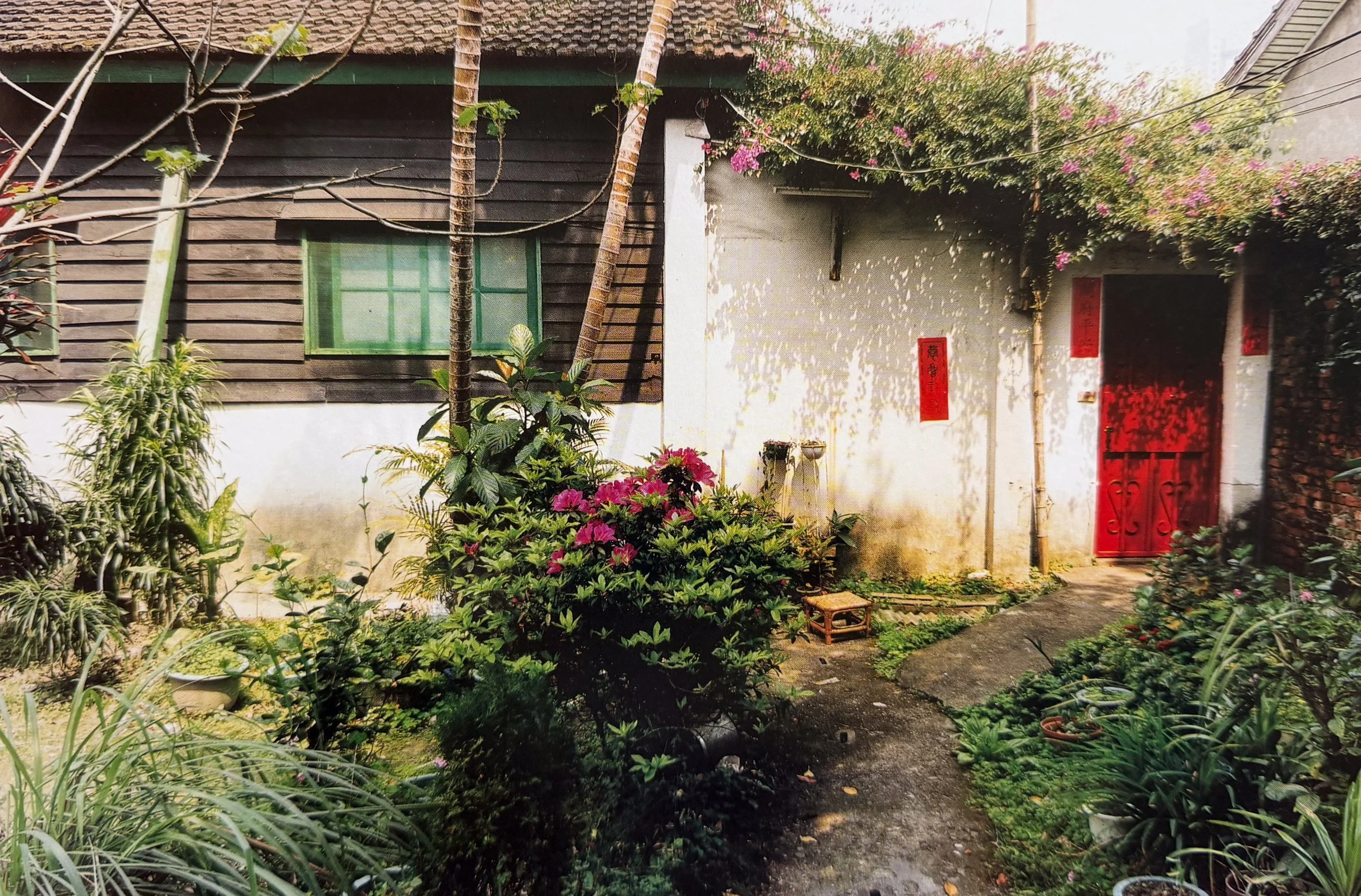 A small garden with various plants and flowers in front of a house with dark weathered wood siding, a green window, and red Chinese New Year decorations on the door and wall. Shadows of pink flowering tree branches are cast on the house.