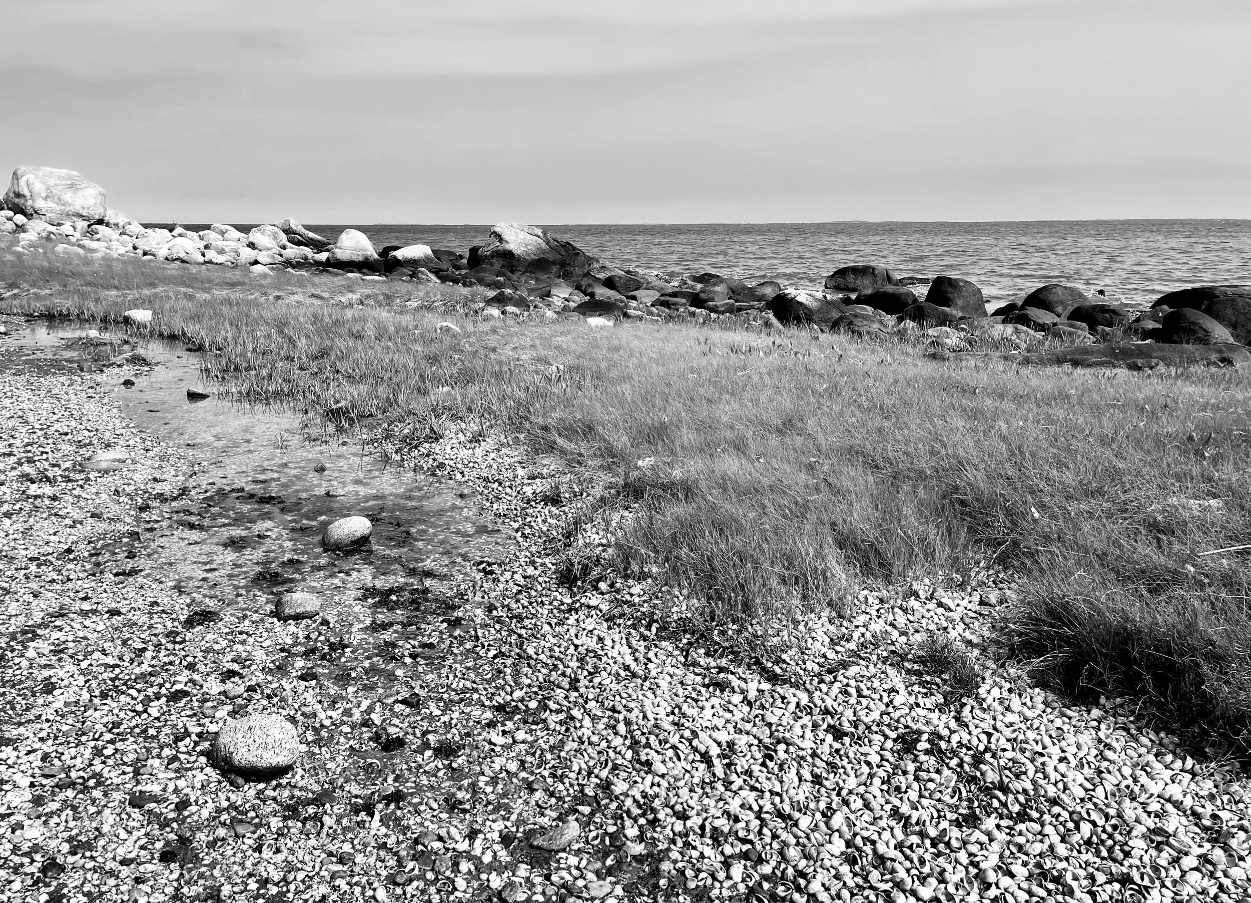 A black and white photo of a rocky shoreline with grass in the foreground and the ocean in the background photographed by visual artist, Karen Serago.