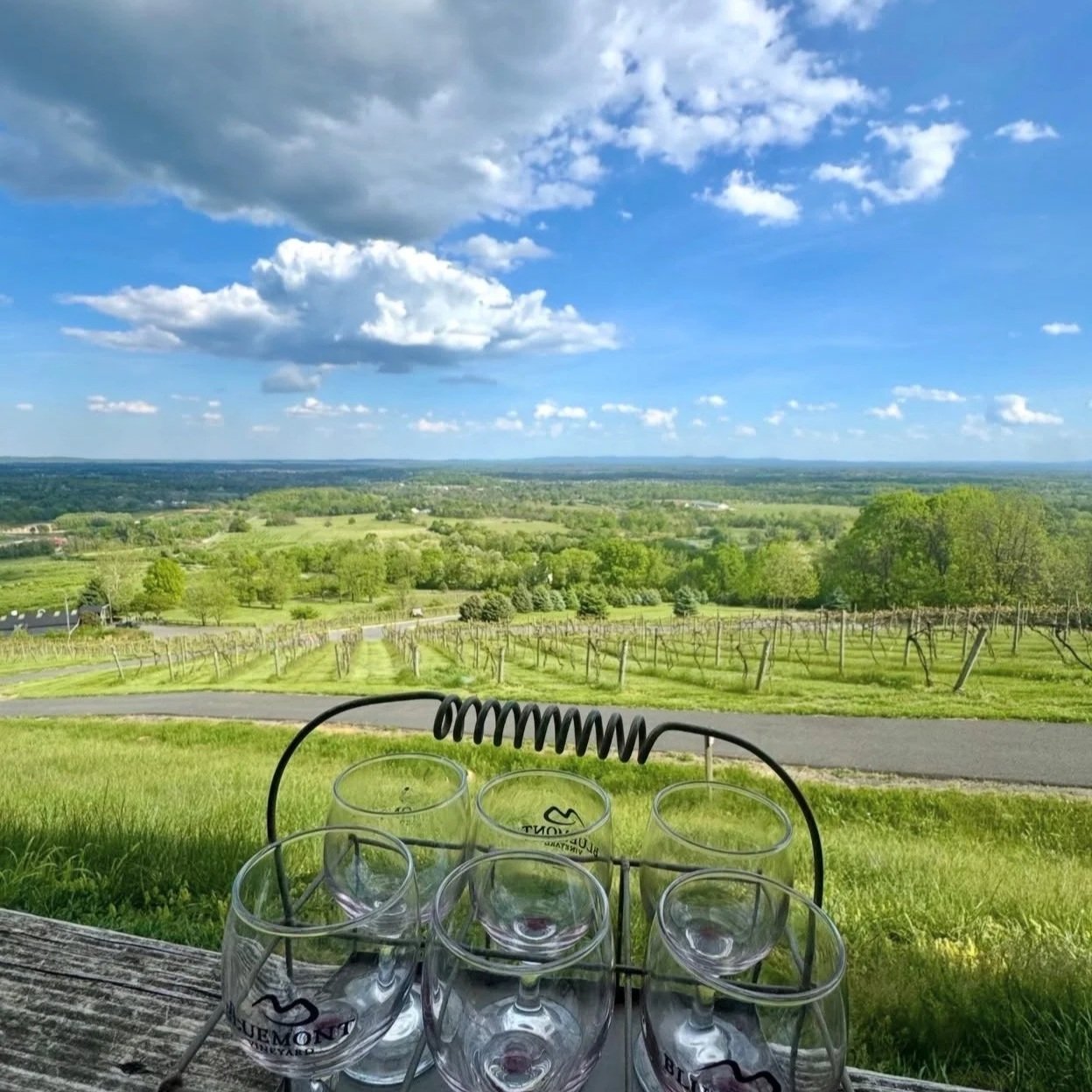 Panoramic vineyard views and estate tastings in Virginia wine country.