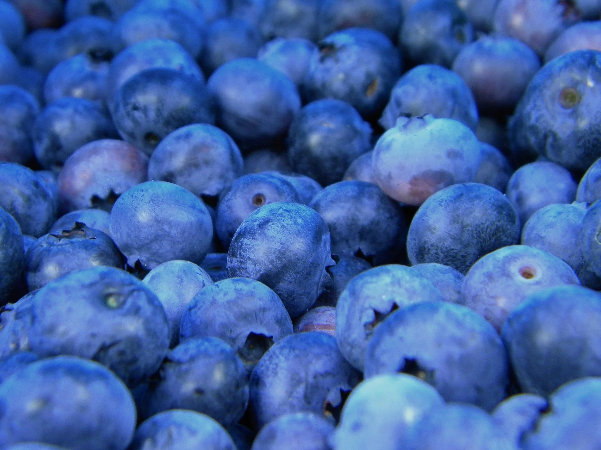 Seasonal harvests and unhurried afternoons.