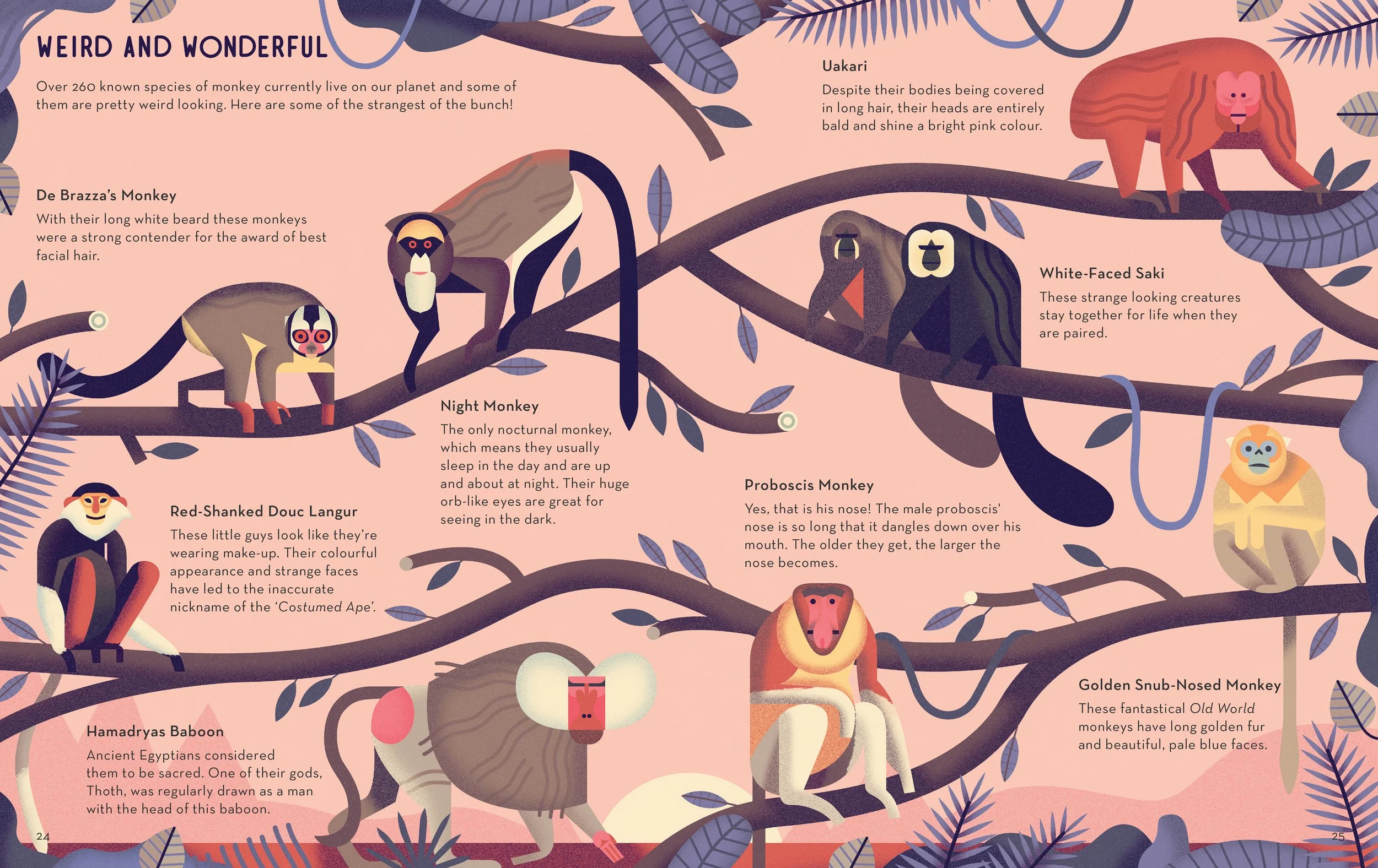 Owen-Davey-Folio-Illustration-Mad_About_Monkeys.jpg