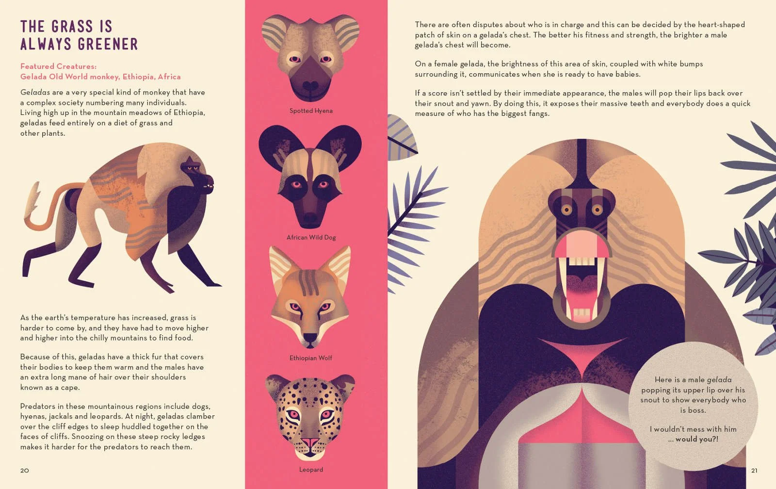 Mad-About-Monkeys-Owen-Davey-Illustration-Gelada_1600_c.jpg