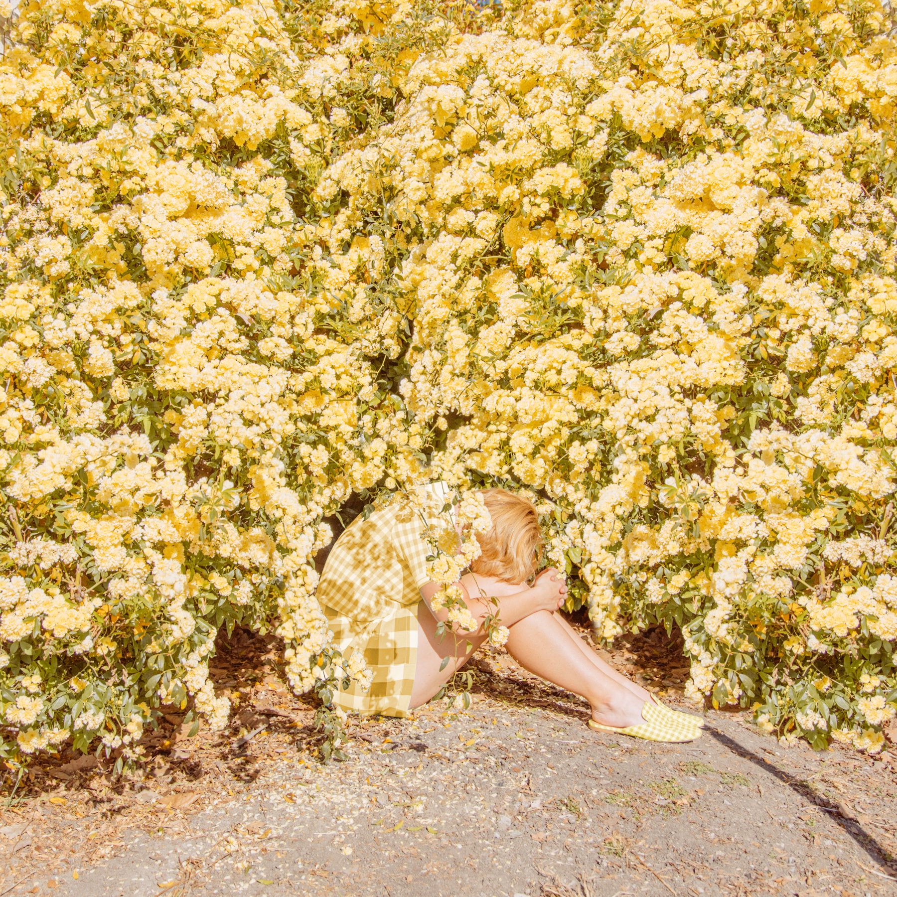 9WORKS-DV-PaddyDiane-Flowers-473-Edit3.jpg