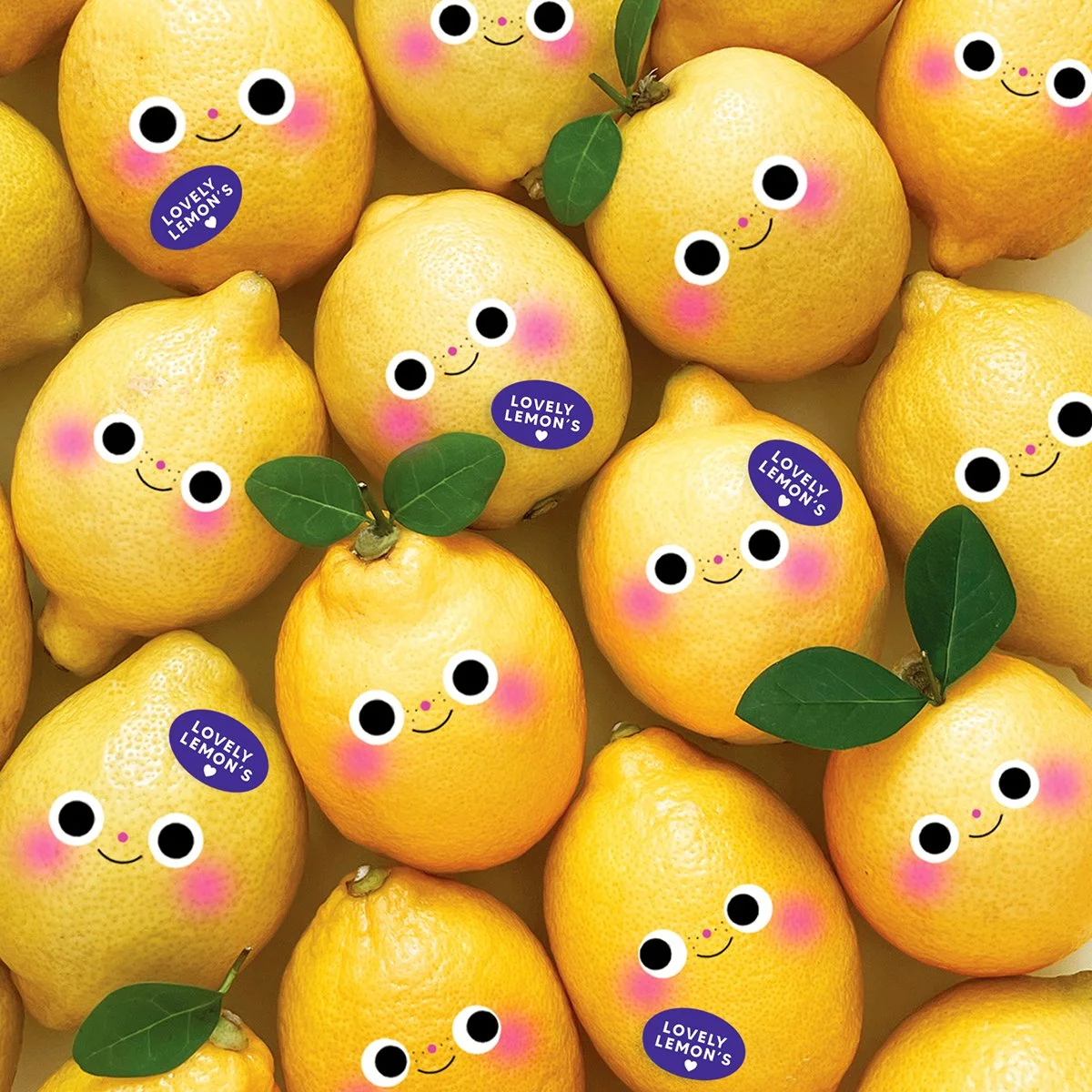 Lovely lemons .jpg
