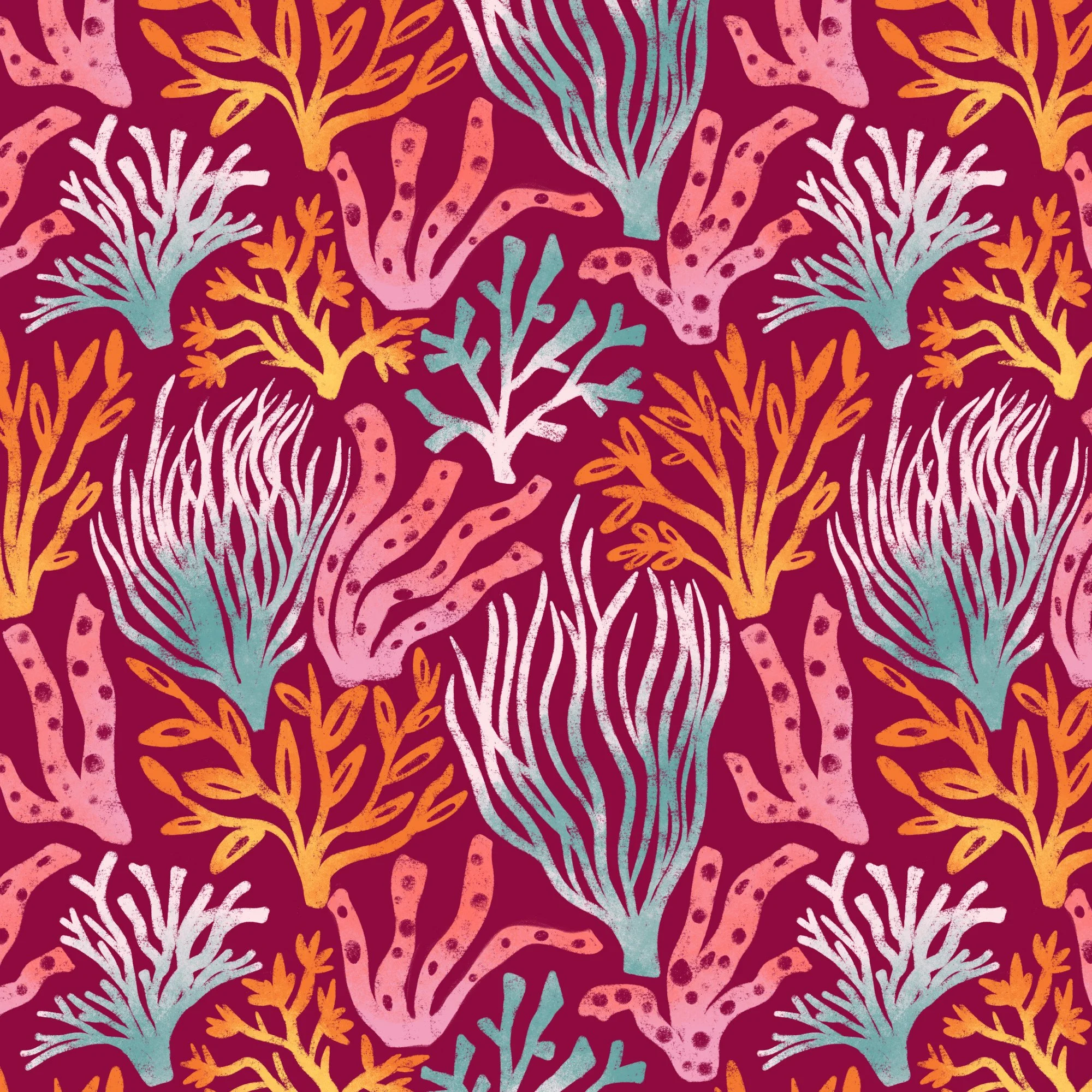 6_coral_reef.jpg