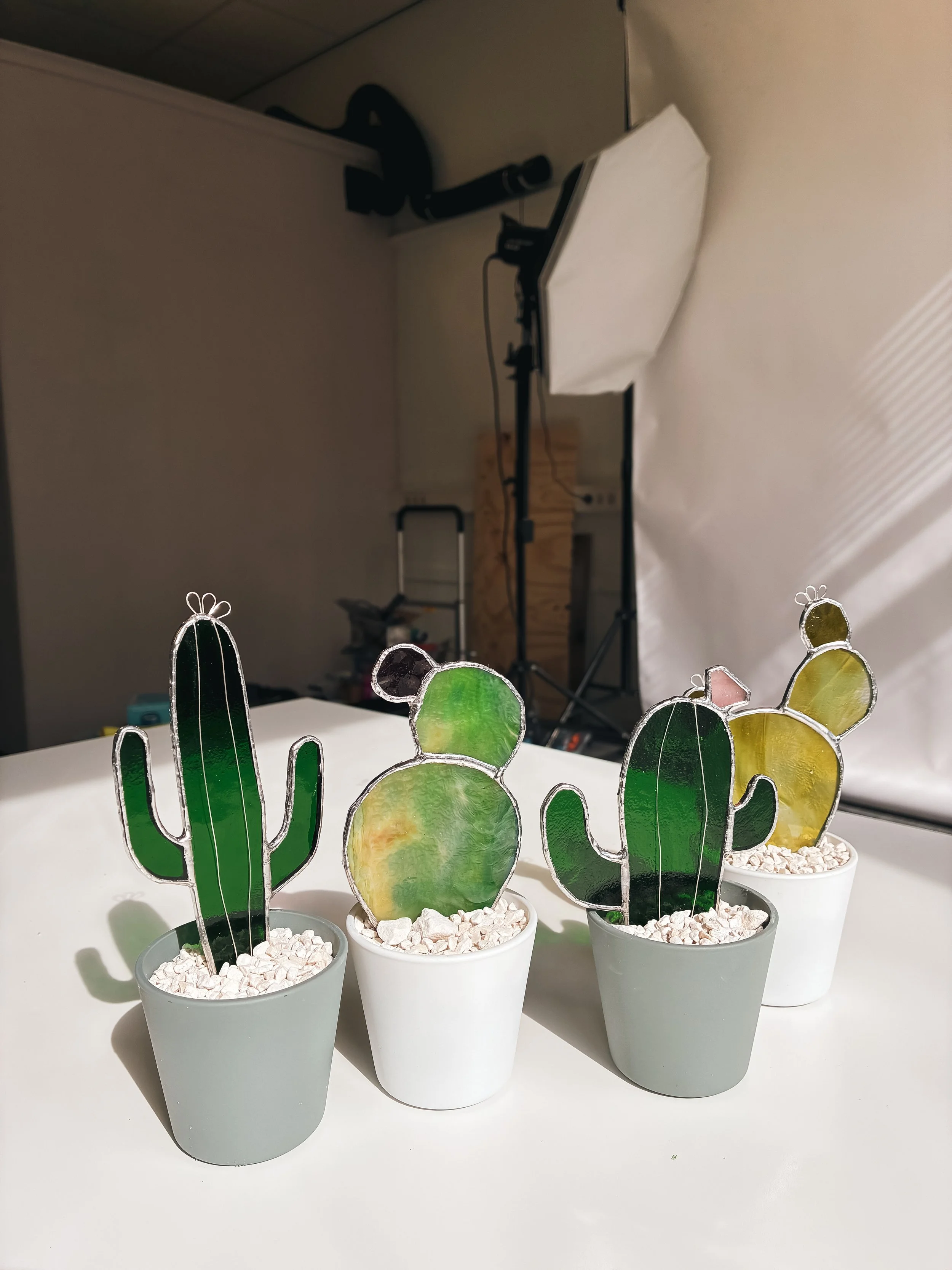 Cactus & Succulent Decorations