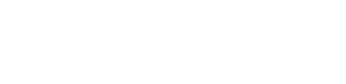 Domus Studio &amp; Solutions