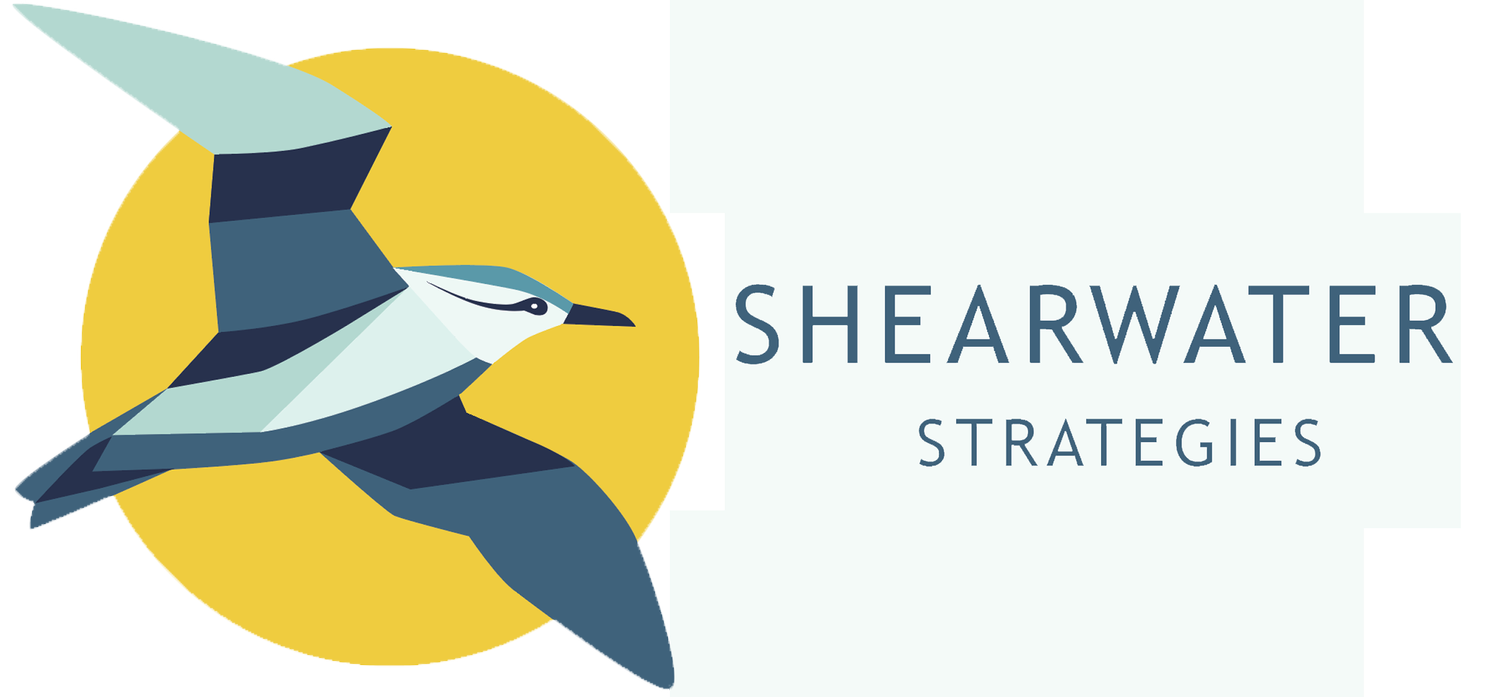 Shearwater Strategies