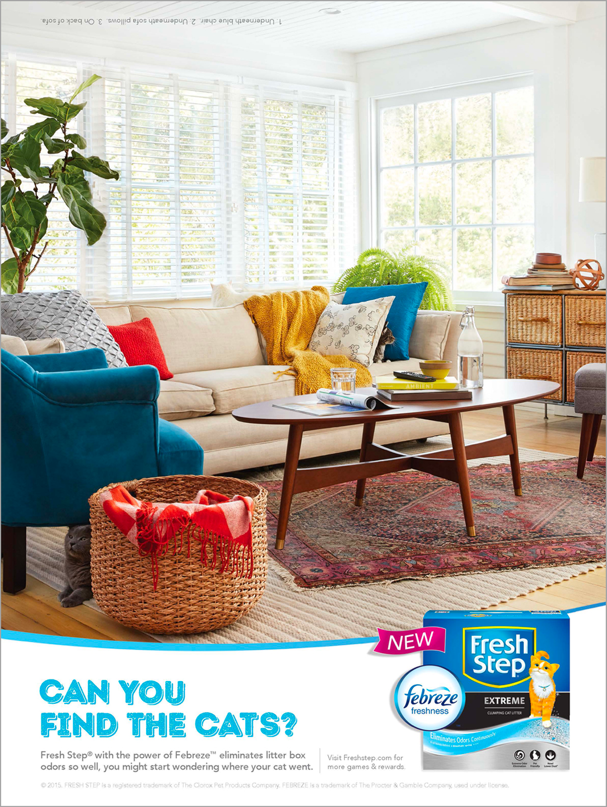 Find the cat_Lounge.png