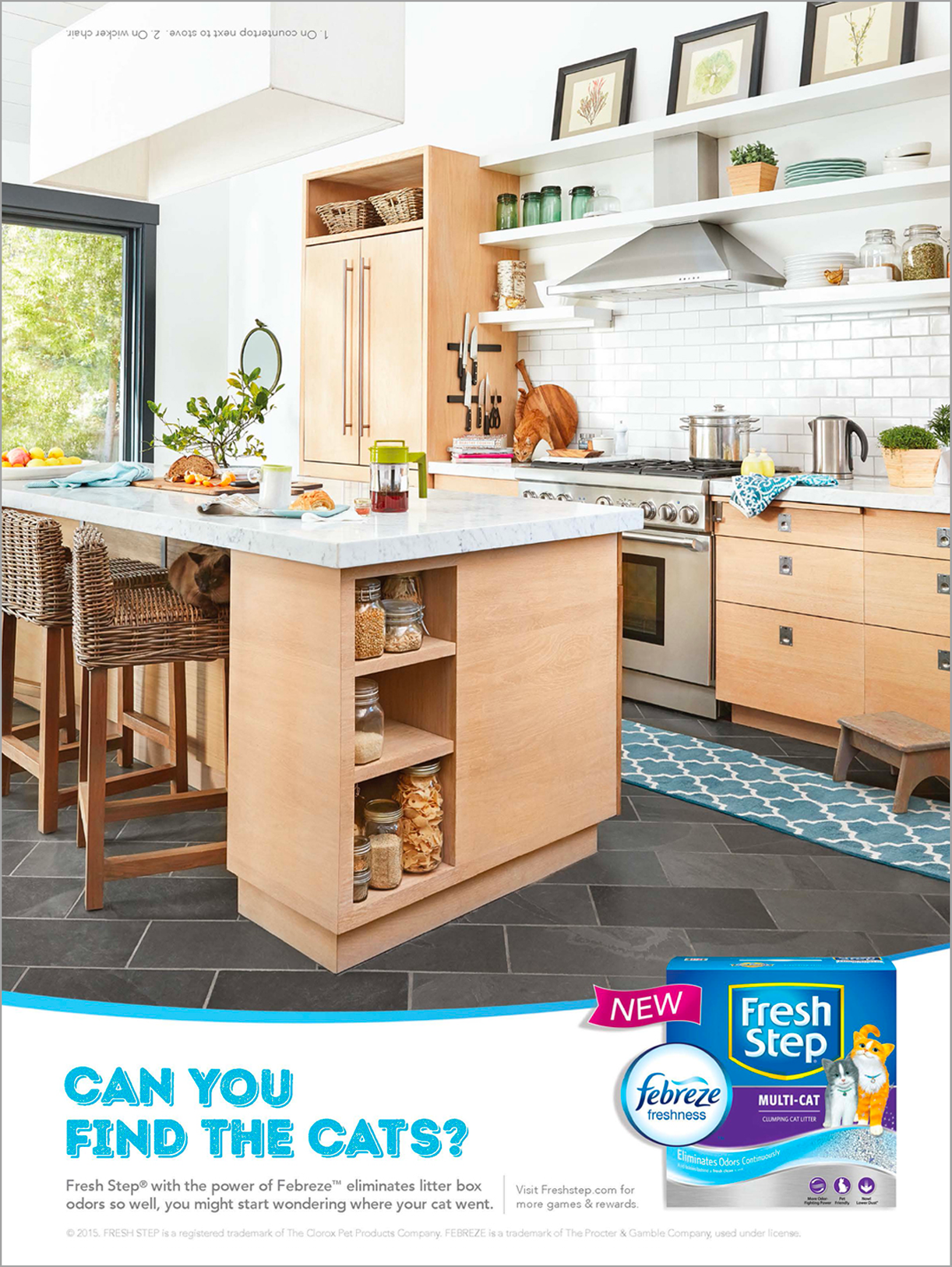 Find the cat_Kitchen.png