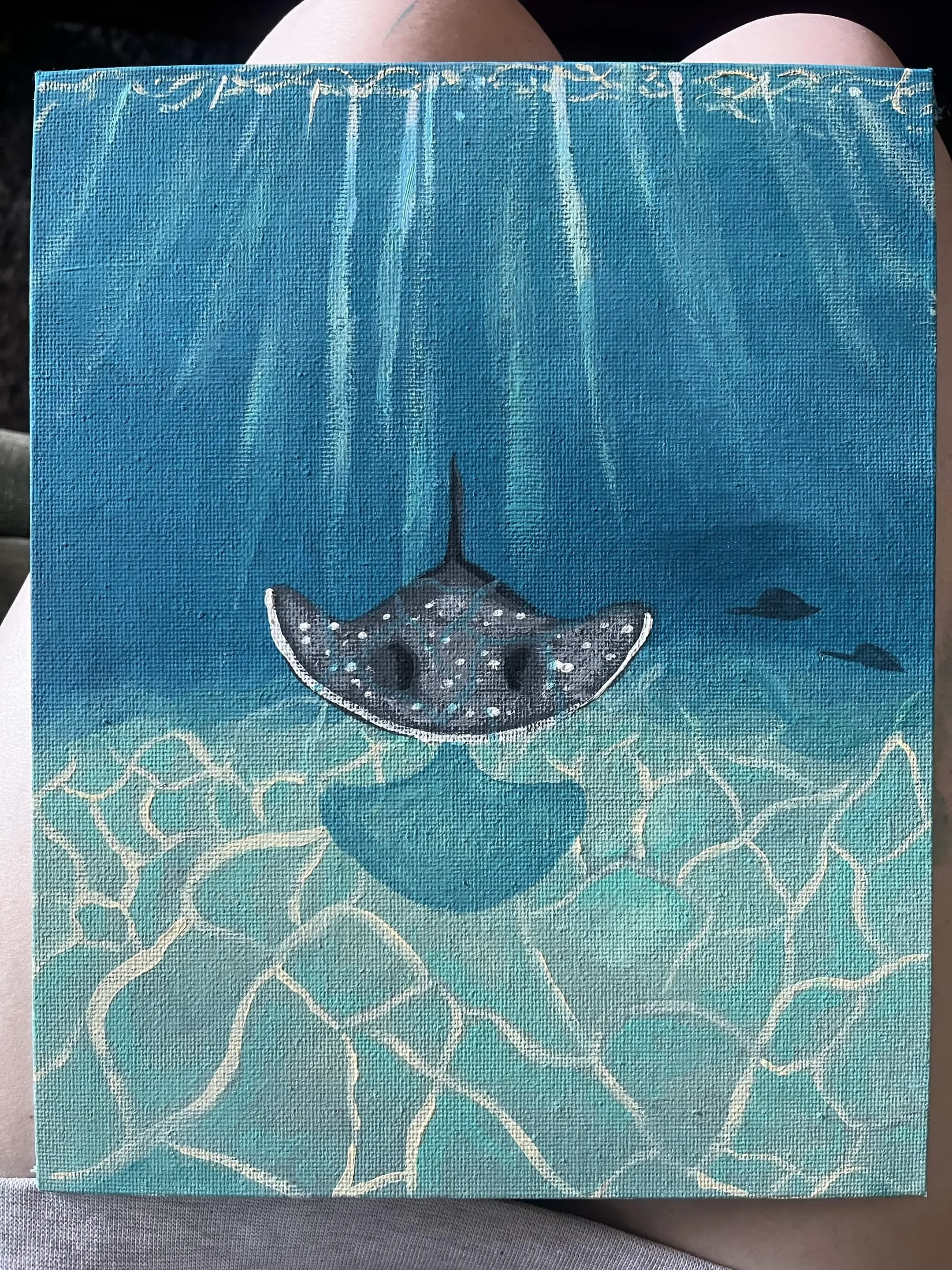 stingray.jpg