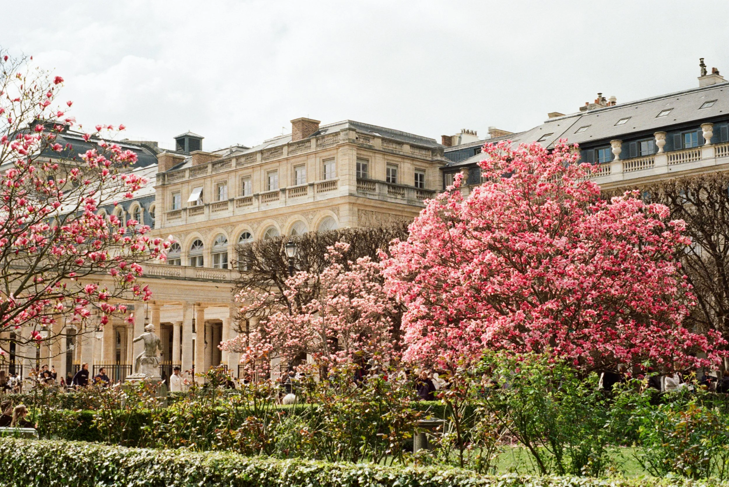 paris - march 2025