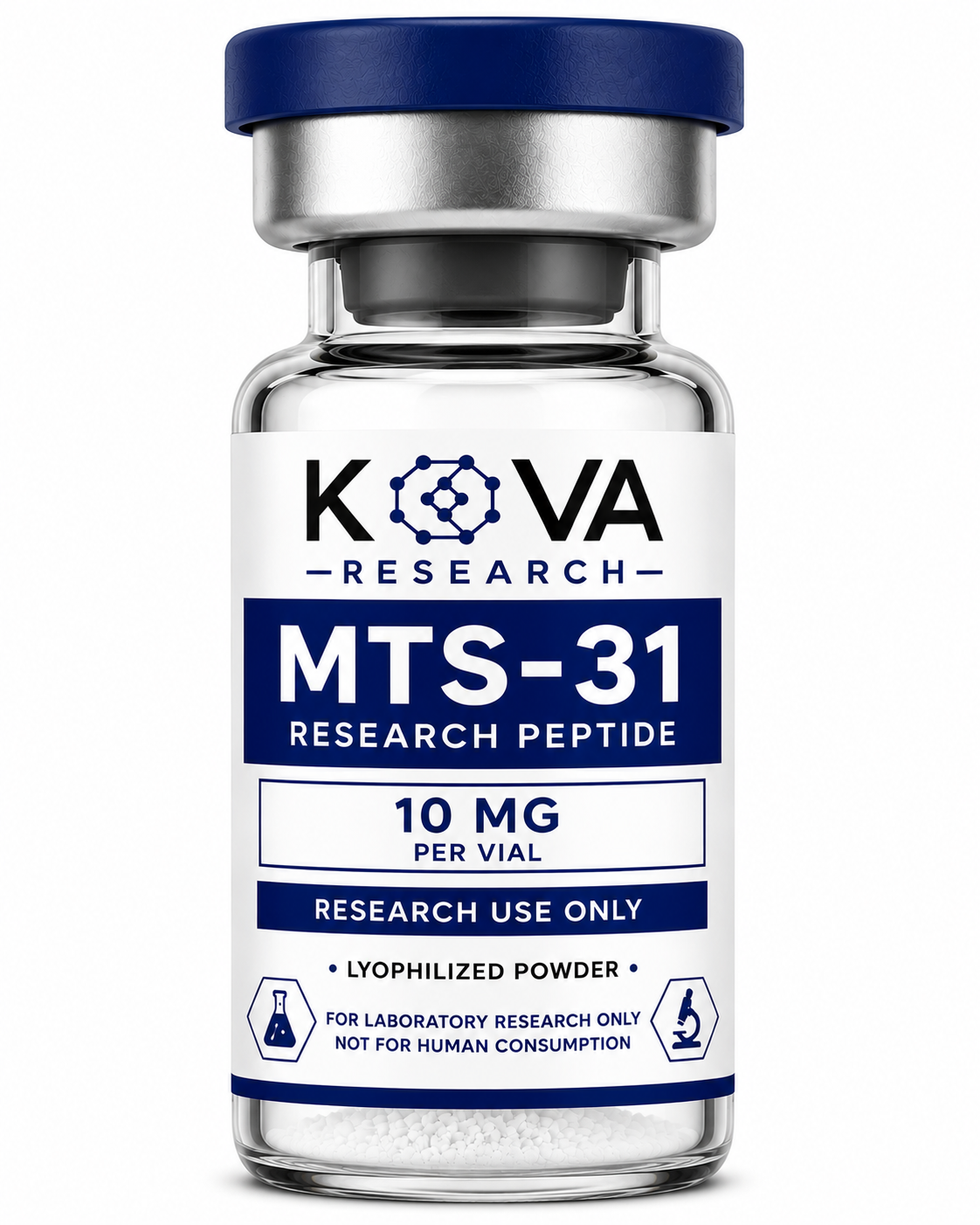 MTS-31 (SS-31).png