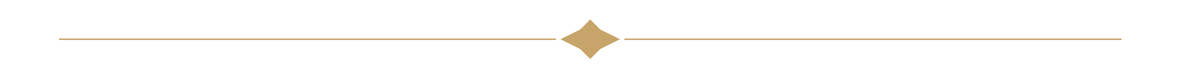 Image of a decorative divider with a central diamond shape and horizontal lines extending outward.