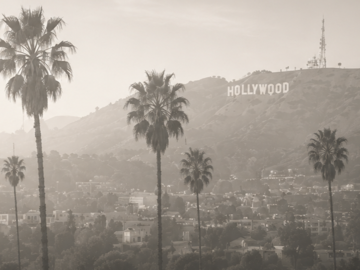 Black and white photo of the Hollywood sign on the hills with several tall palm trees in the foreground.