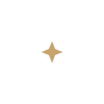 Black cross with a small gold star in the center.