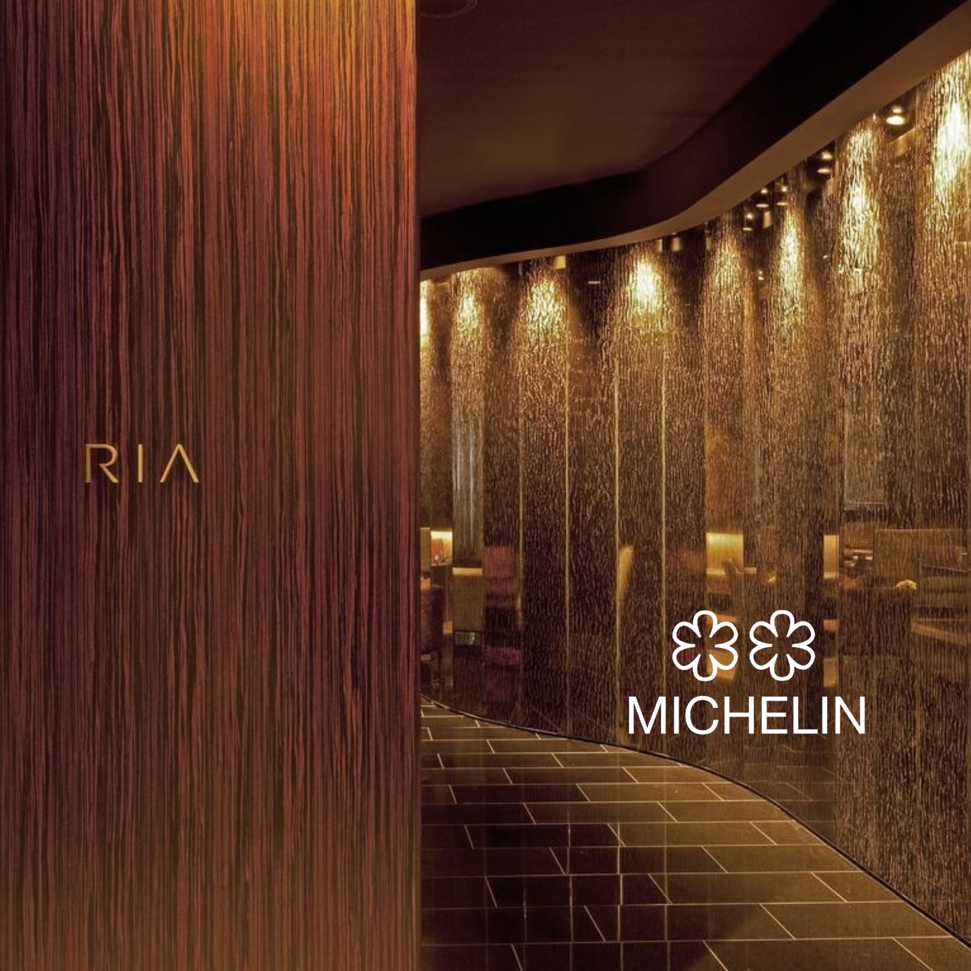 Interior of a building with a curved ceiling, a decorative gold-tone textured wall, and dark brown tiled flooring. Partial text visible on a sign reads 'RIA' and 'MICHELIN' with some flower icons.