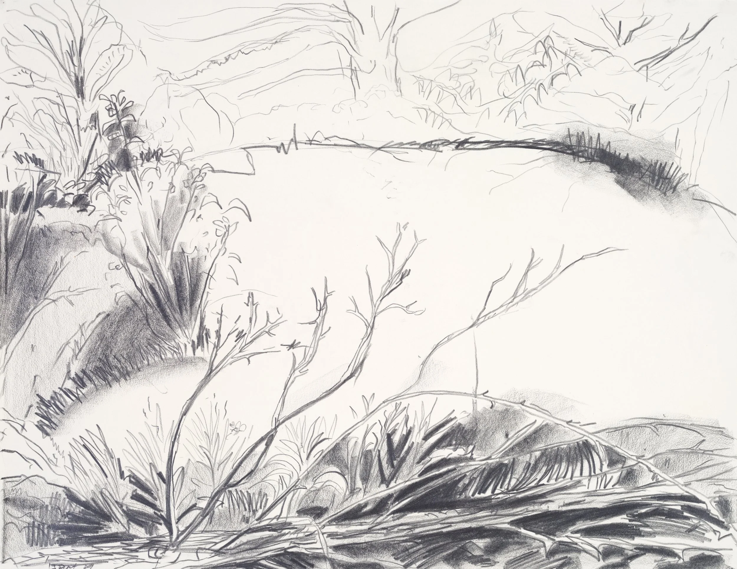 A black and white sketch of a natural landscape featuring trees, bushes, and tall grass.