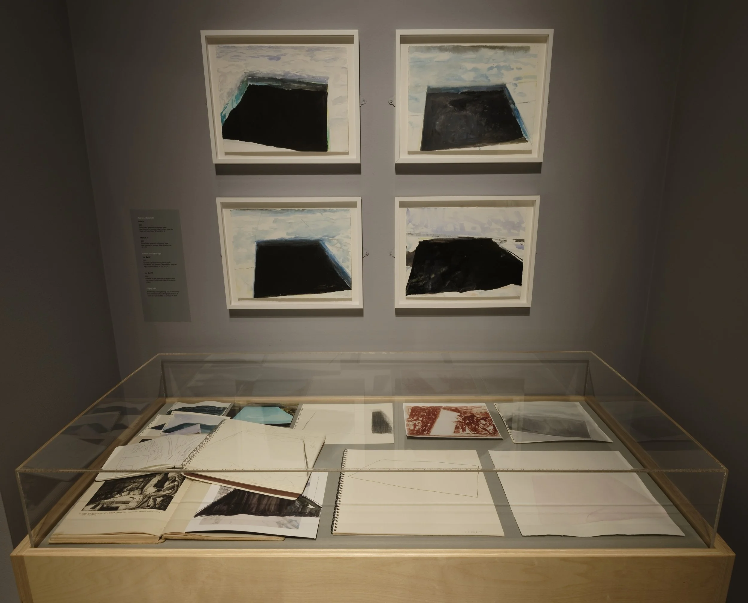 "Eric Aho: Ice Cuts" at the Hood Museum of Art, Dartmouth. Photo by Jeffrey Nintzel.