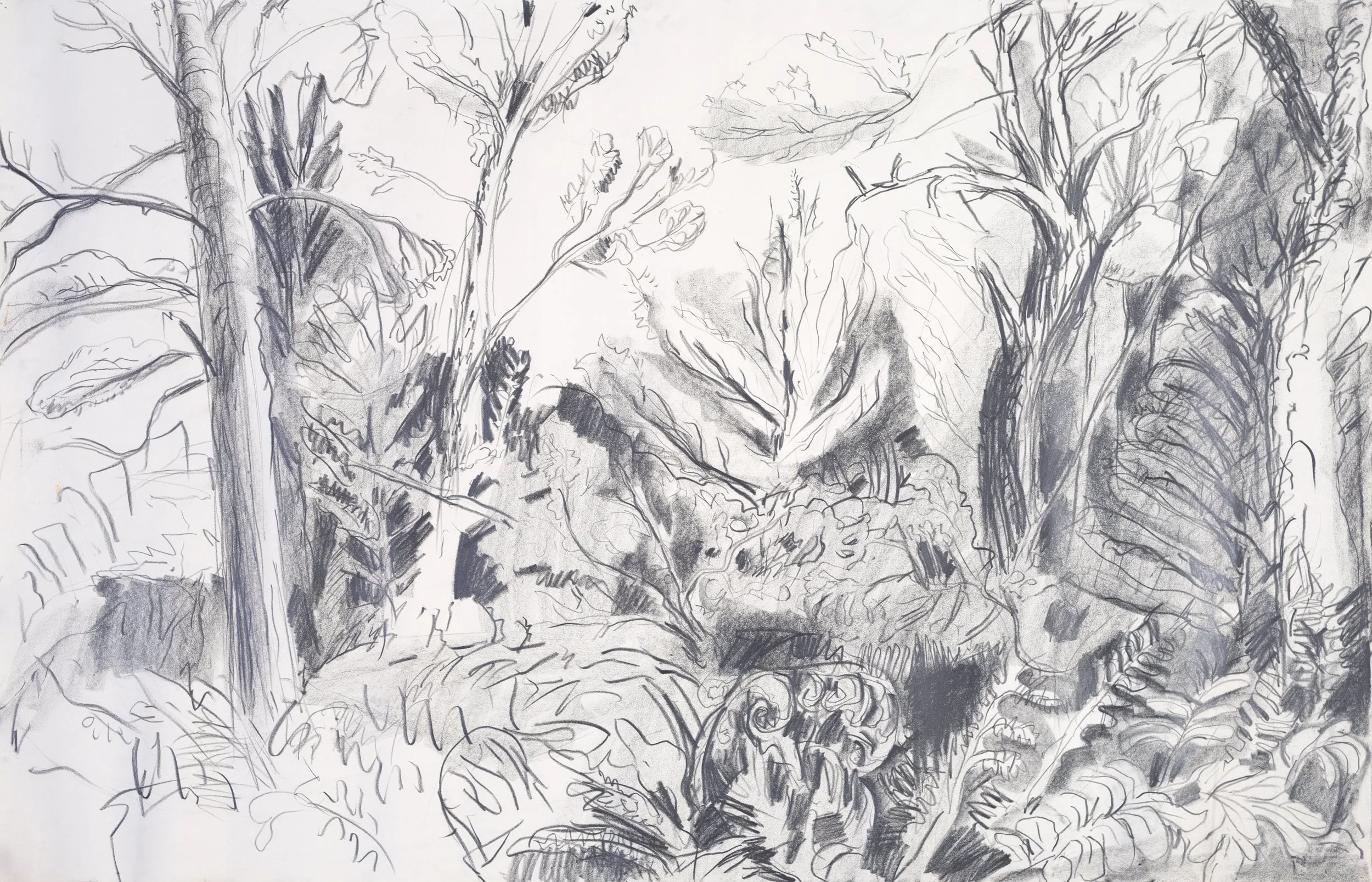 A black and white sketch of trees and foliage, with detailed line work showing branches, leaves, and textures of the natural landscape.