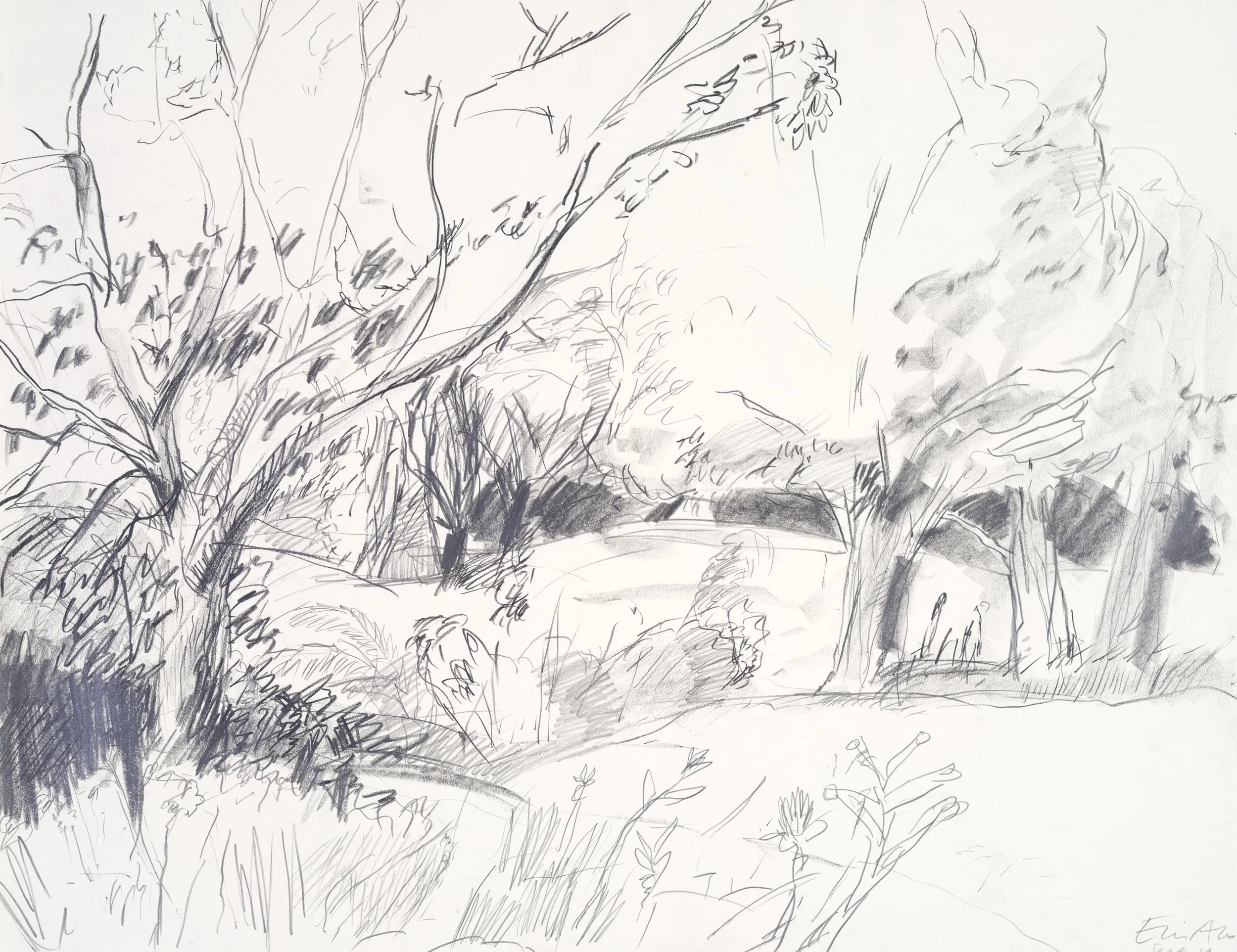 A black and white sketch of a natural landscape with trees and rocks.