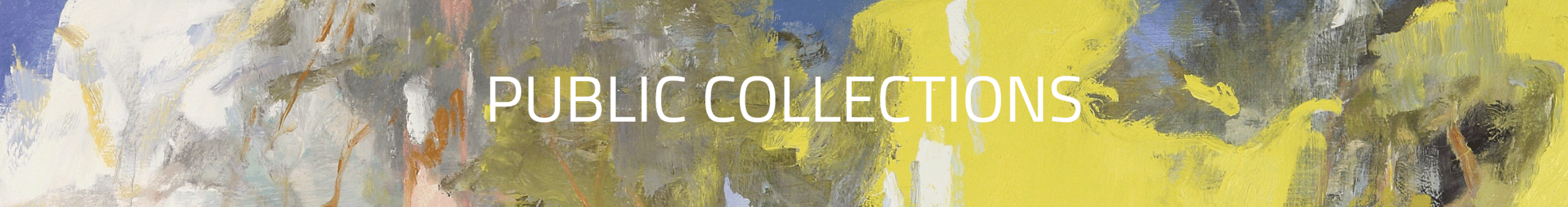 Abstract painted background with the text 'PUBLIC COLLECTIONS' in white.