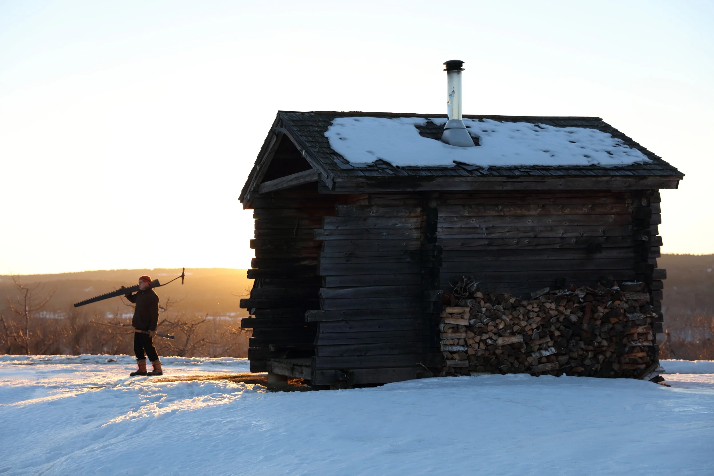 A person wearing winter clothing and a red knit cap carrying a saw walking across a snowy landscape. In the background, a rustic wooden shed with a sheet of snow on its roof and a chimney extending from it. The scene is set at sunset or sunrise, with