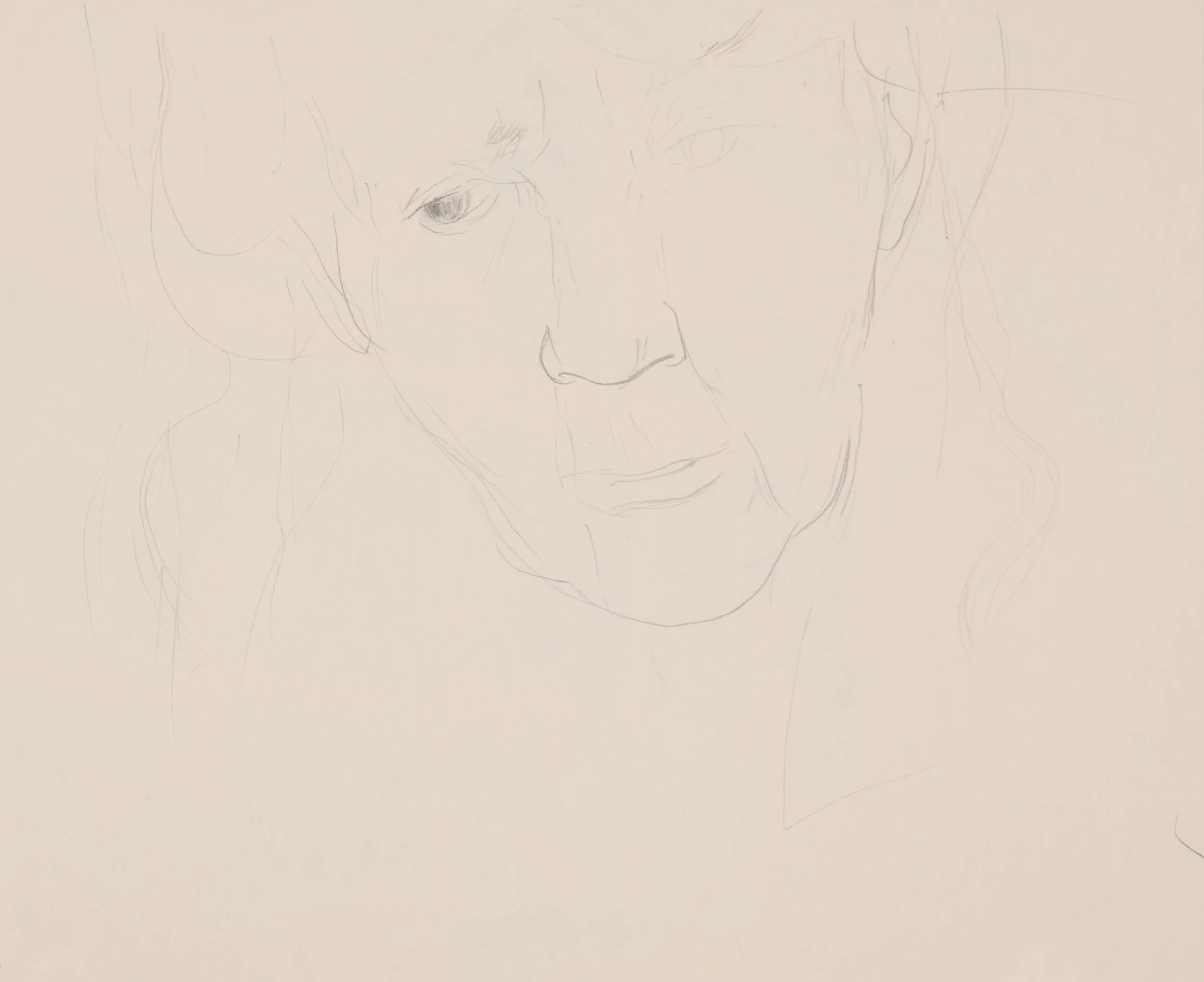 A sketch of a person's face, showing only eye details, nose, and partial mouth with minimal lines on a plain white background.