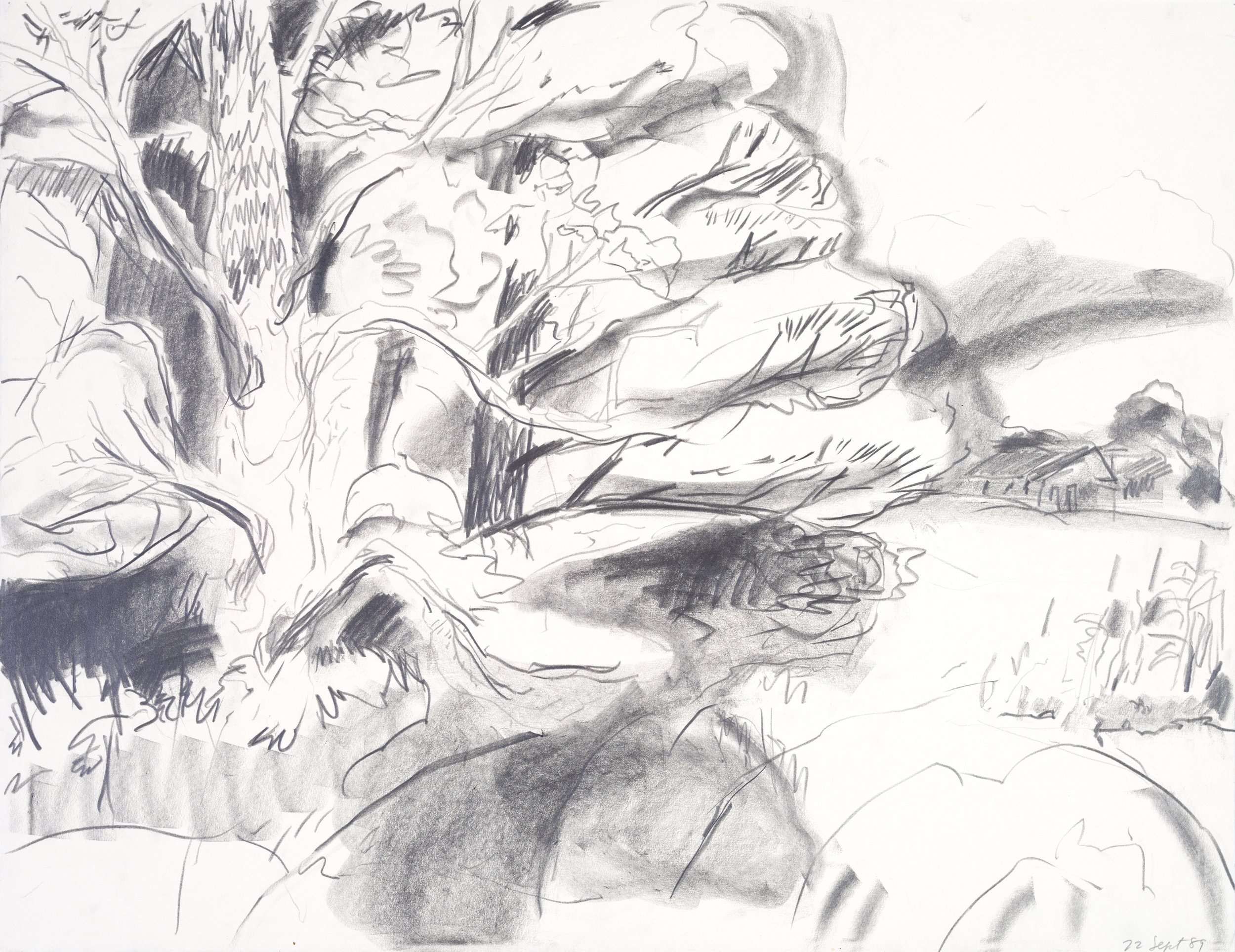 A black and white sketch of large leaves and a tree trunk with textured bark, with some small buildings or structures in the distance on the right side.