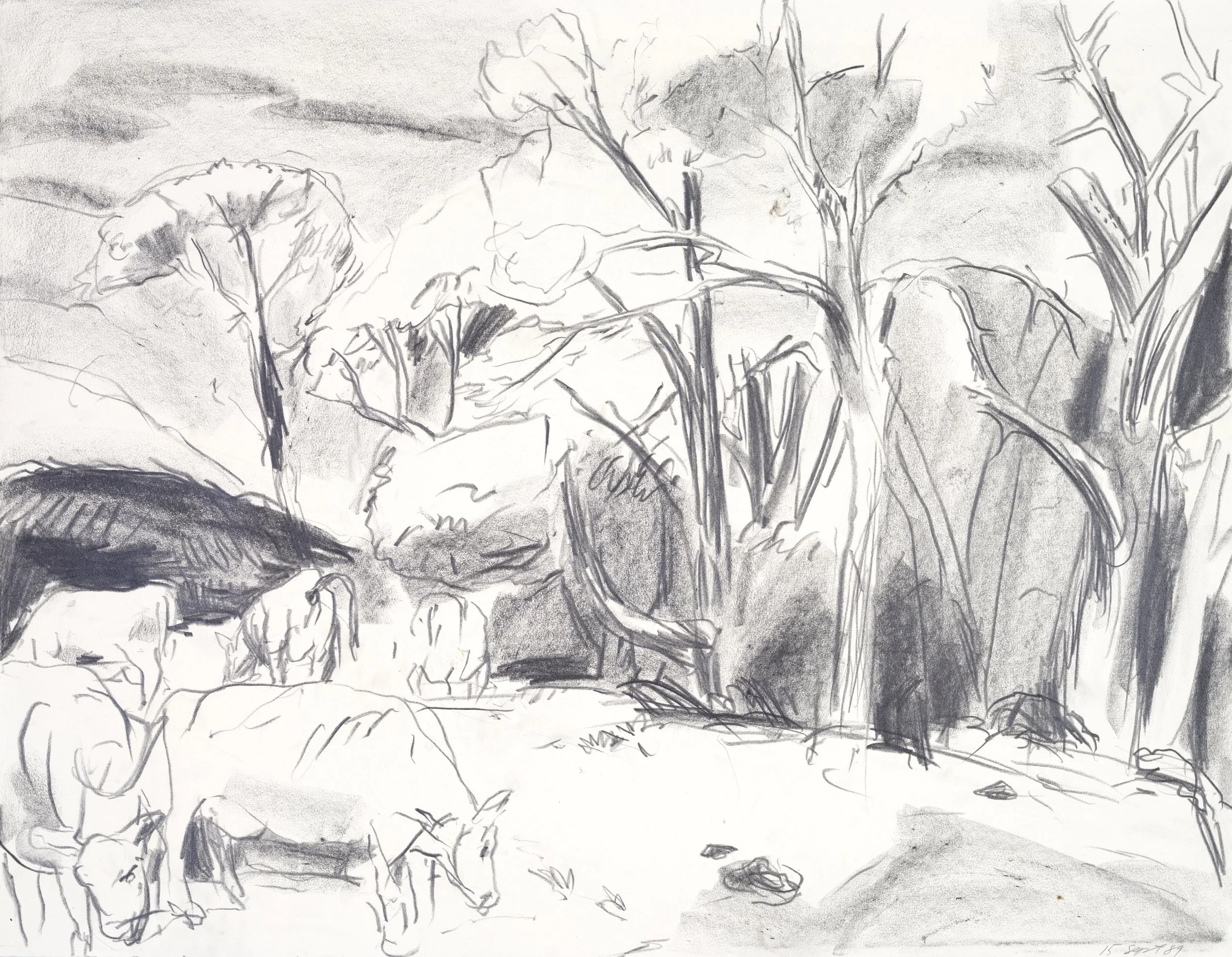 A black and white sketch of a landscape with trees, rocks, and hills in the background.