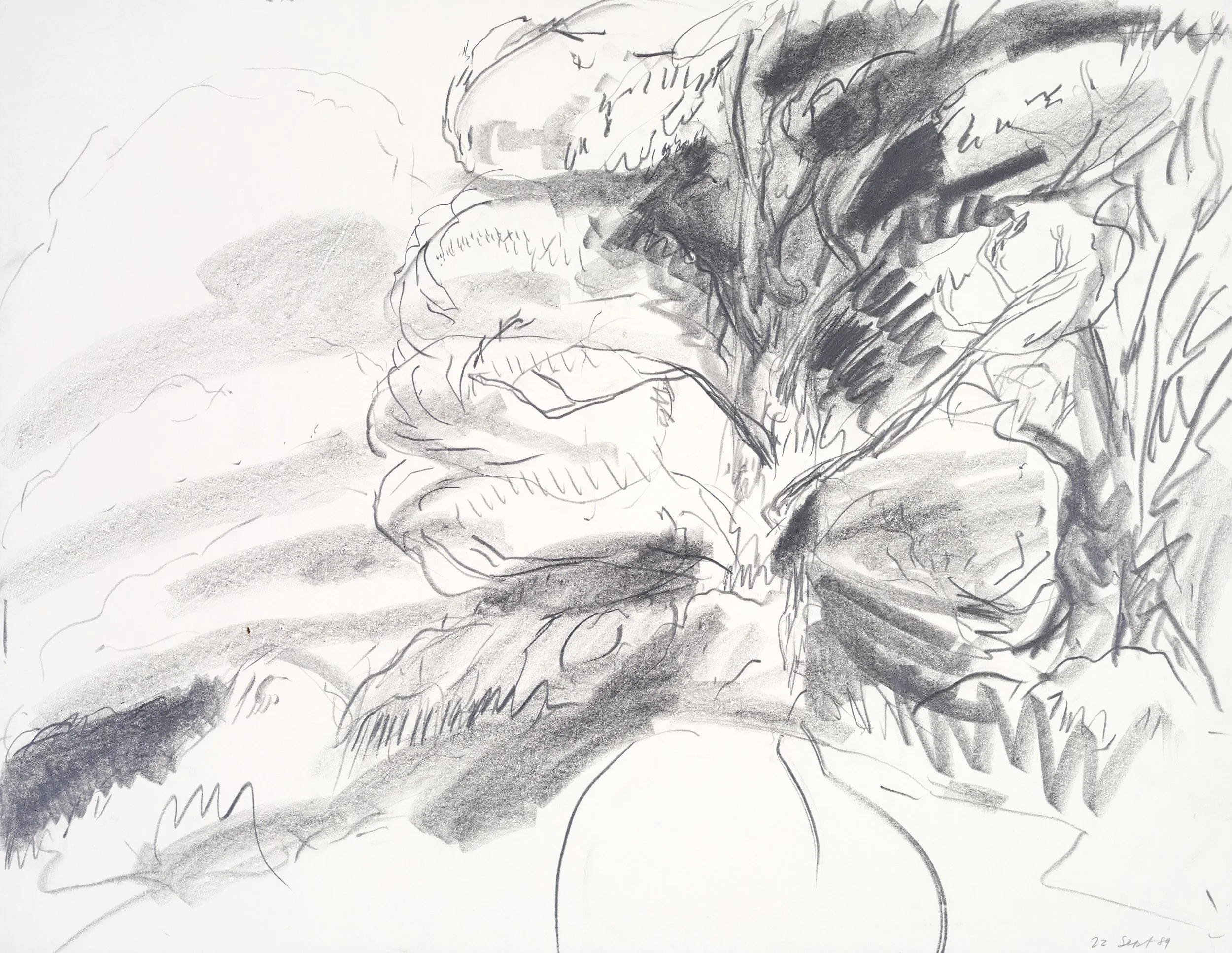 A black and white sketch of trees with varying shading and line work, depicting a natural landscape.