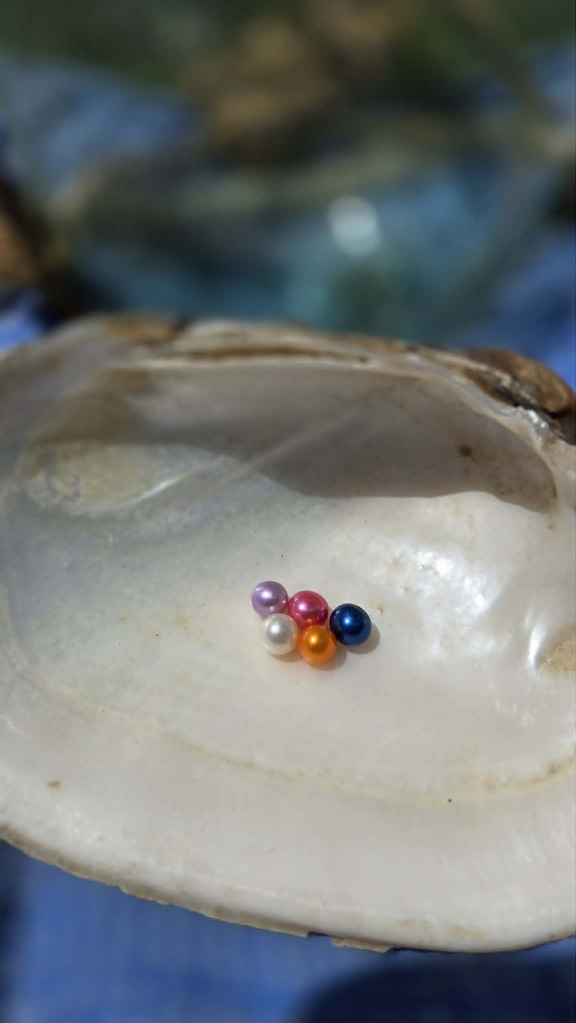 Single Round Pearl