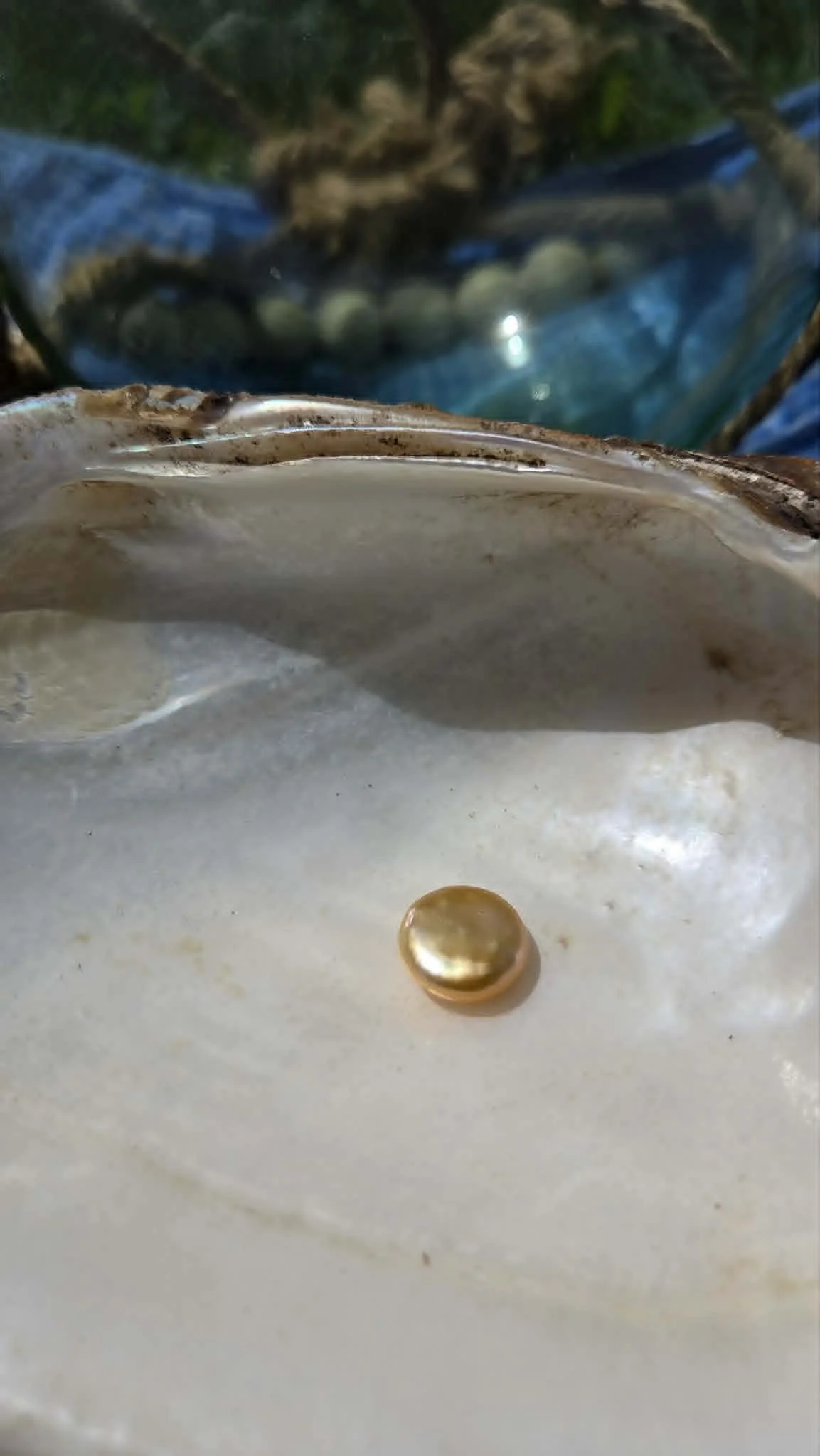 Coin Pearl