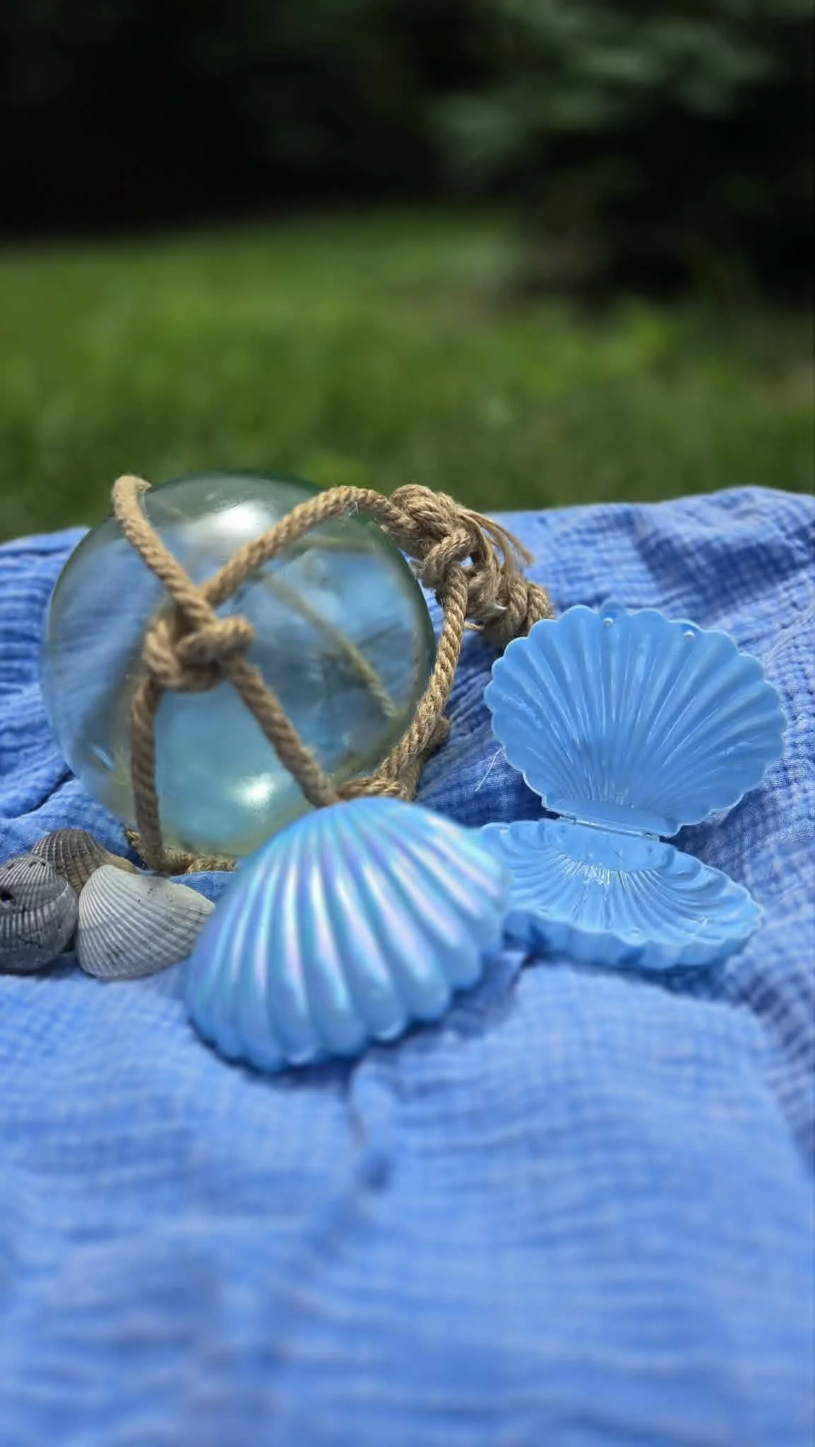 Treasure Shell