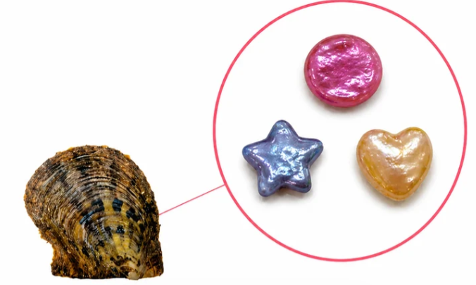 Mystery Shapes.png