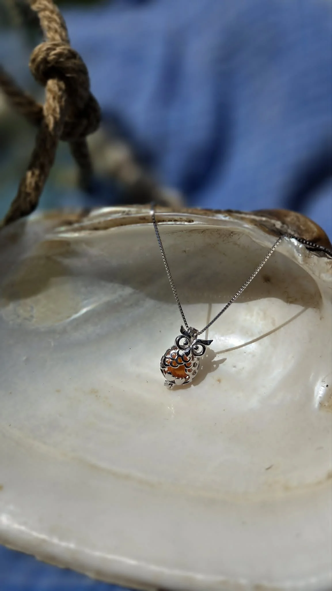 Owl Heart Cage
