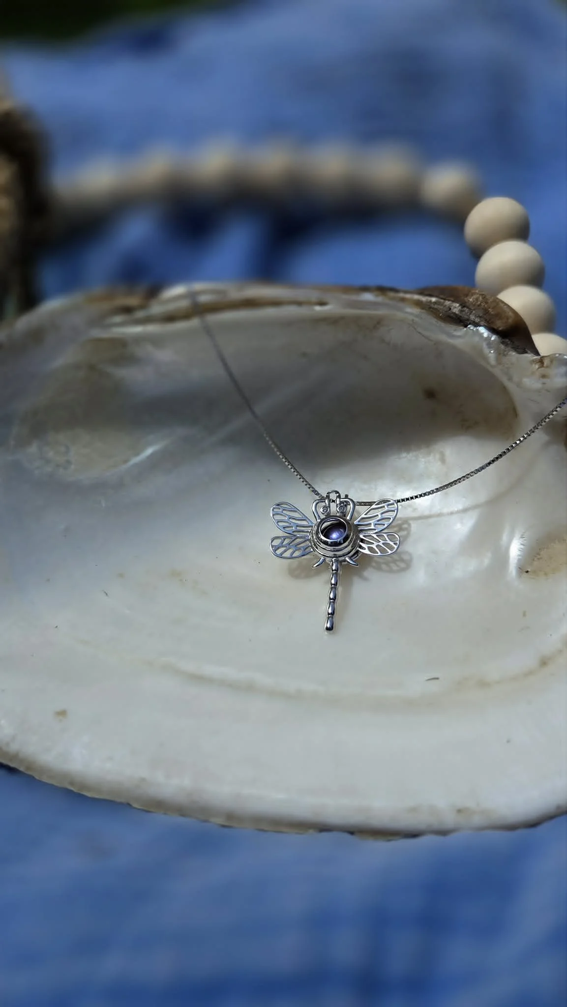 Dragonfly Cage