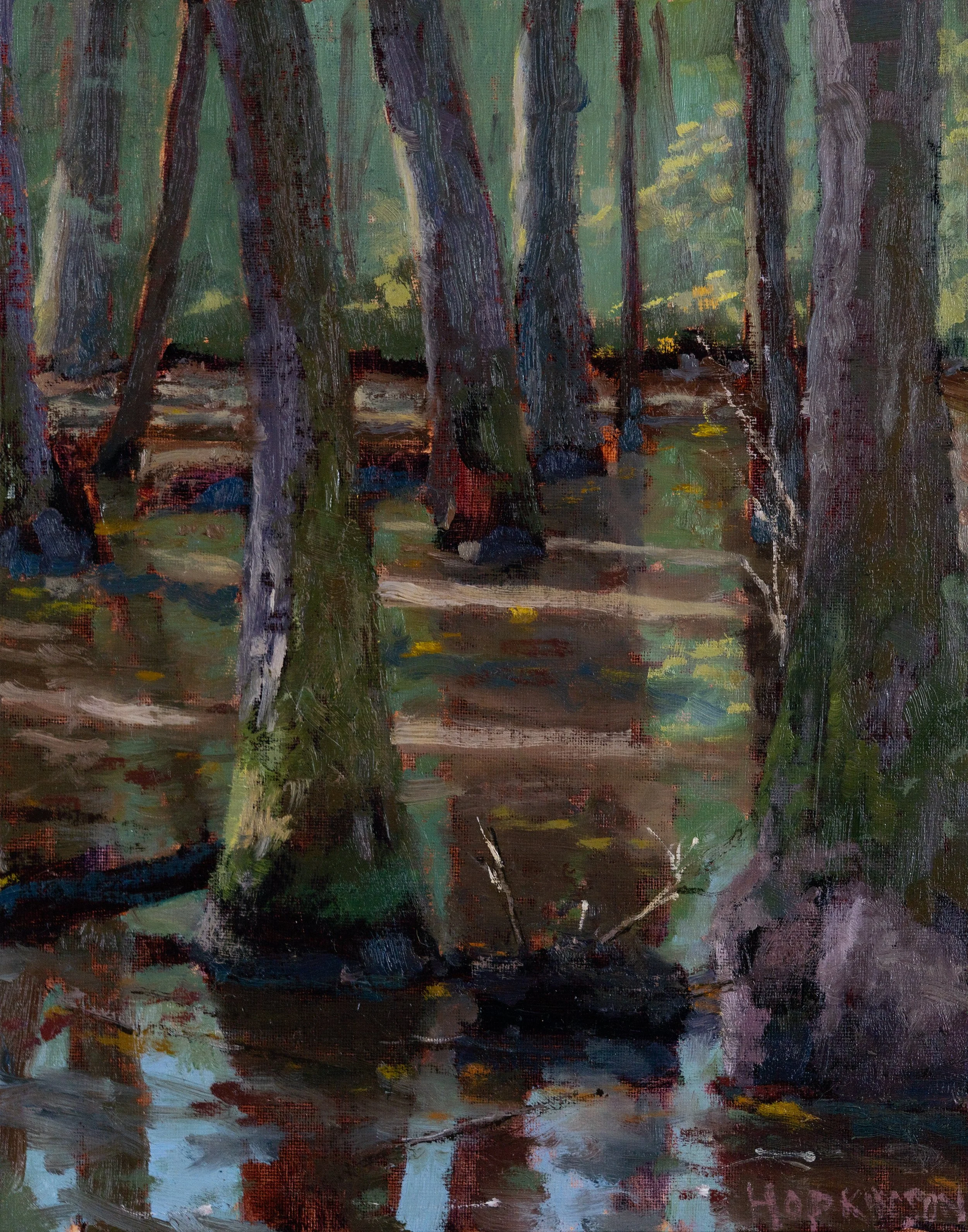 Beaver Creek Landscape
