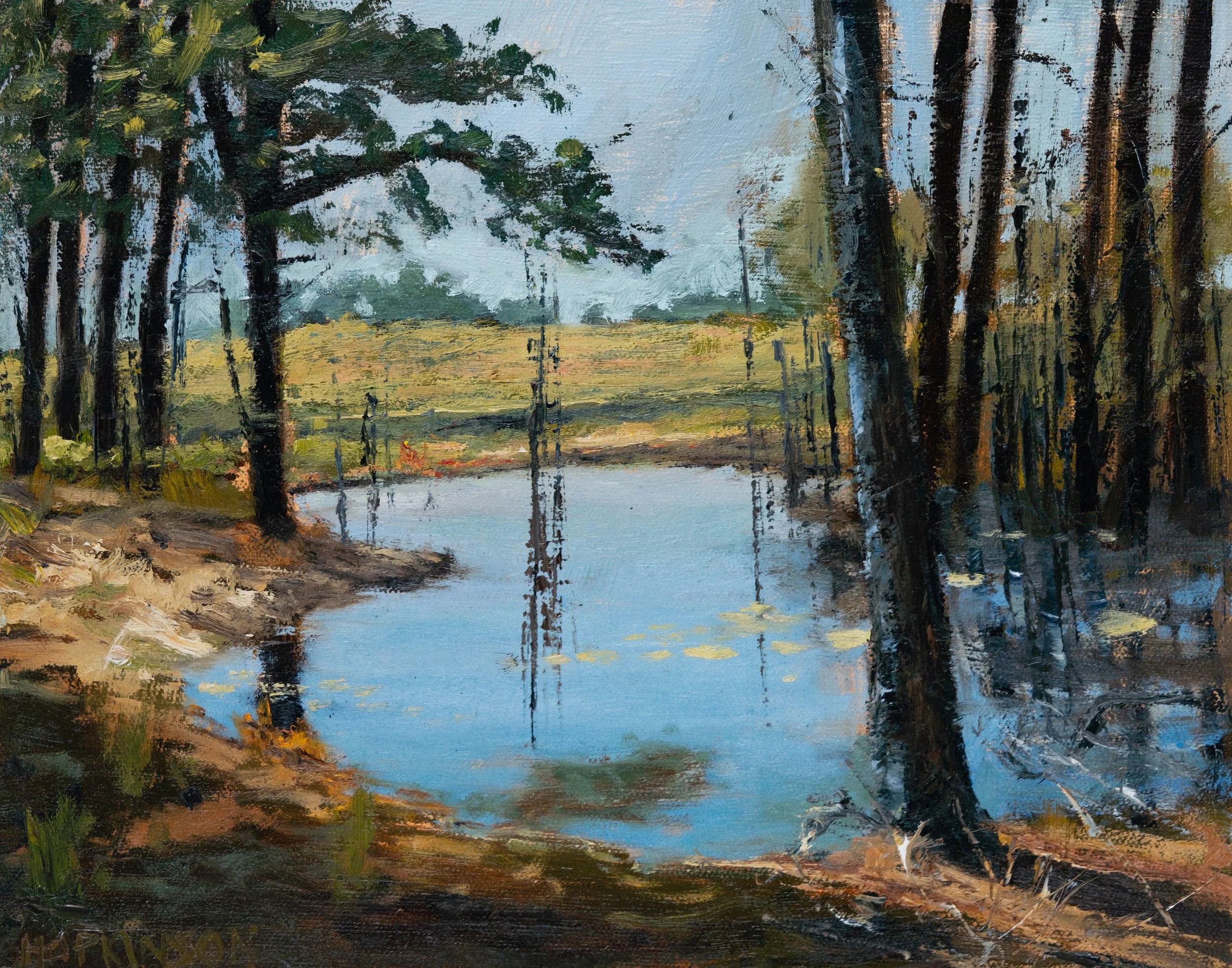 Georgia Pond
